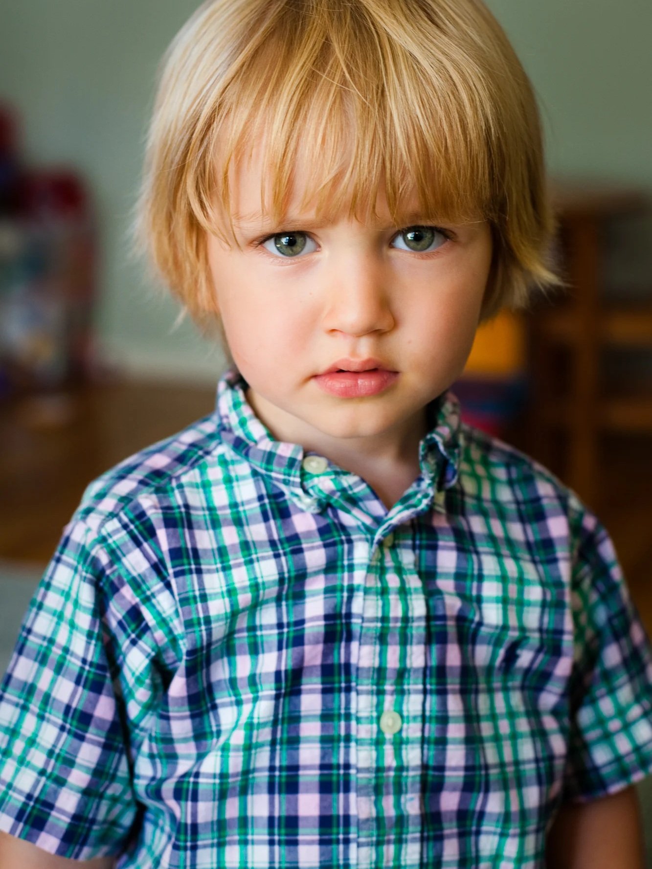 sweet william (Copy)