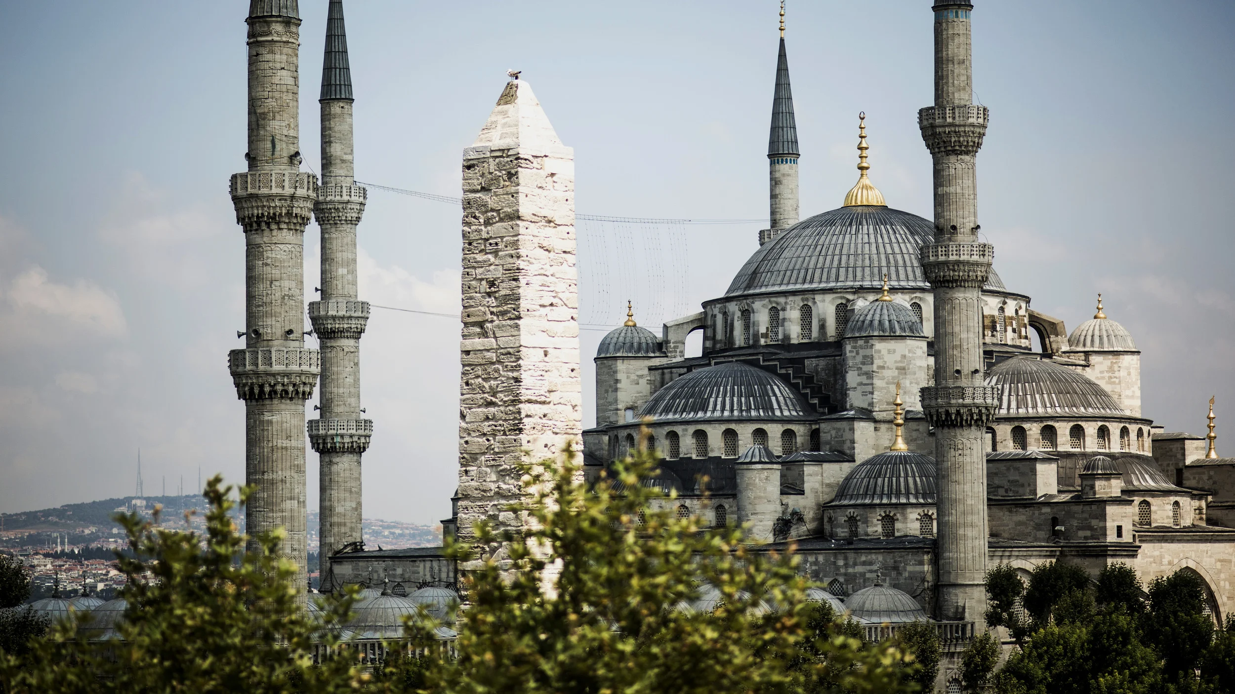 the blue mosque.jpg