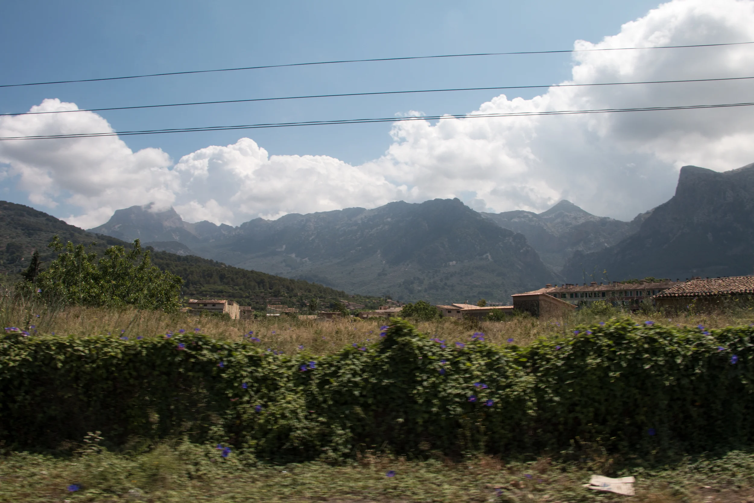 IMG_2605.jpg