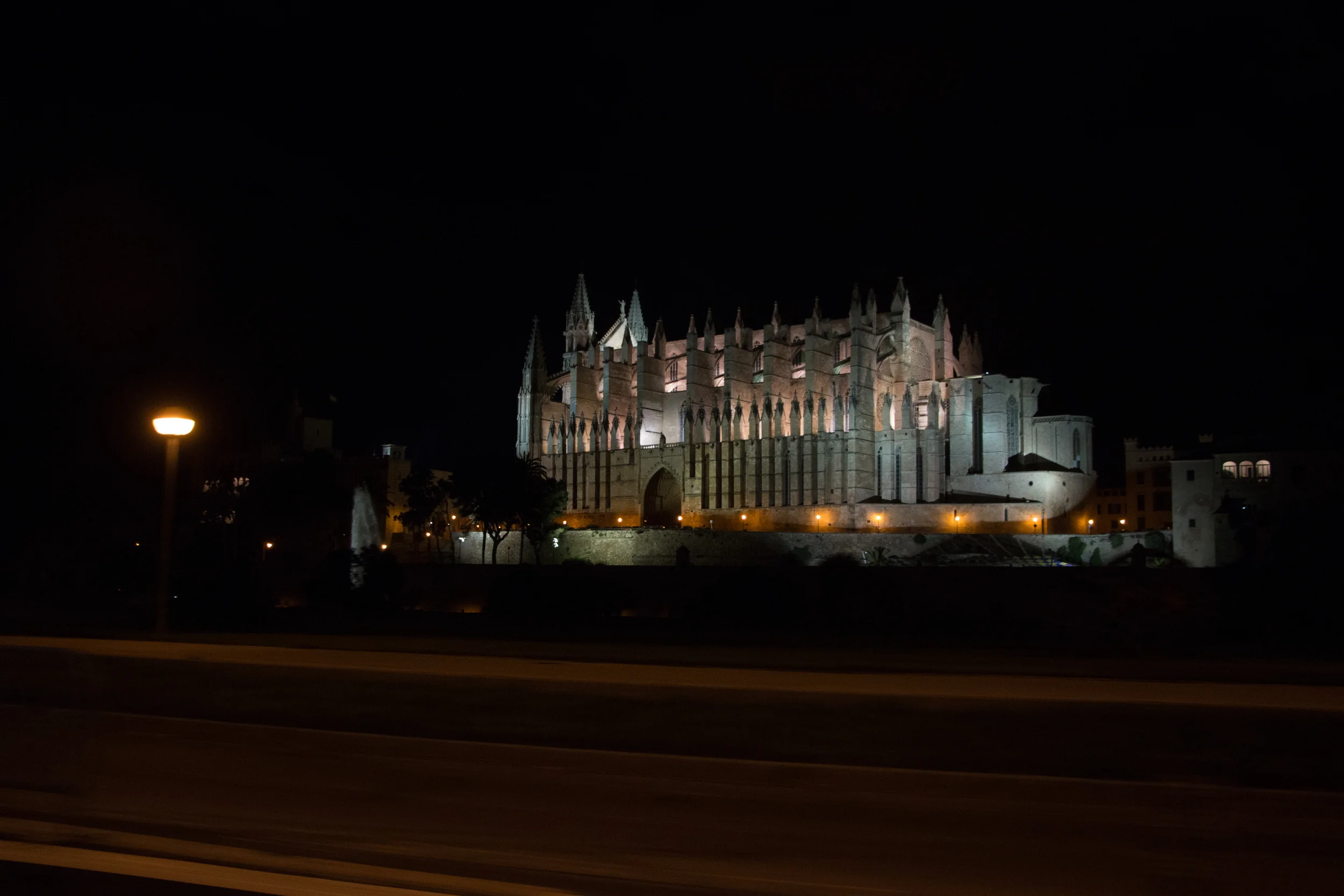 IMG_3083.jpg