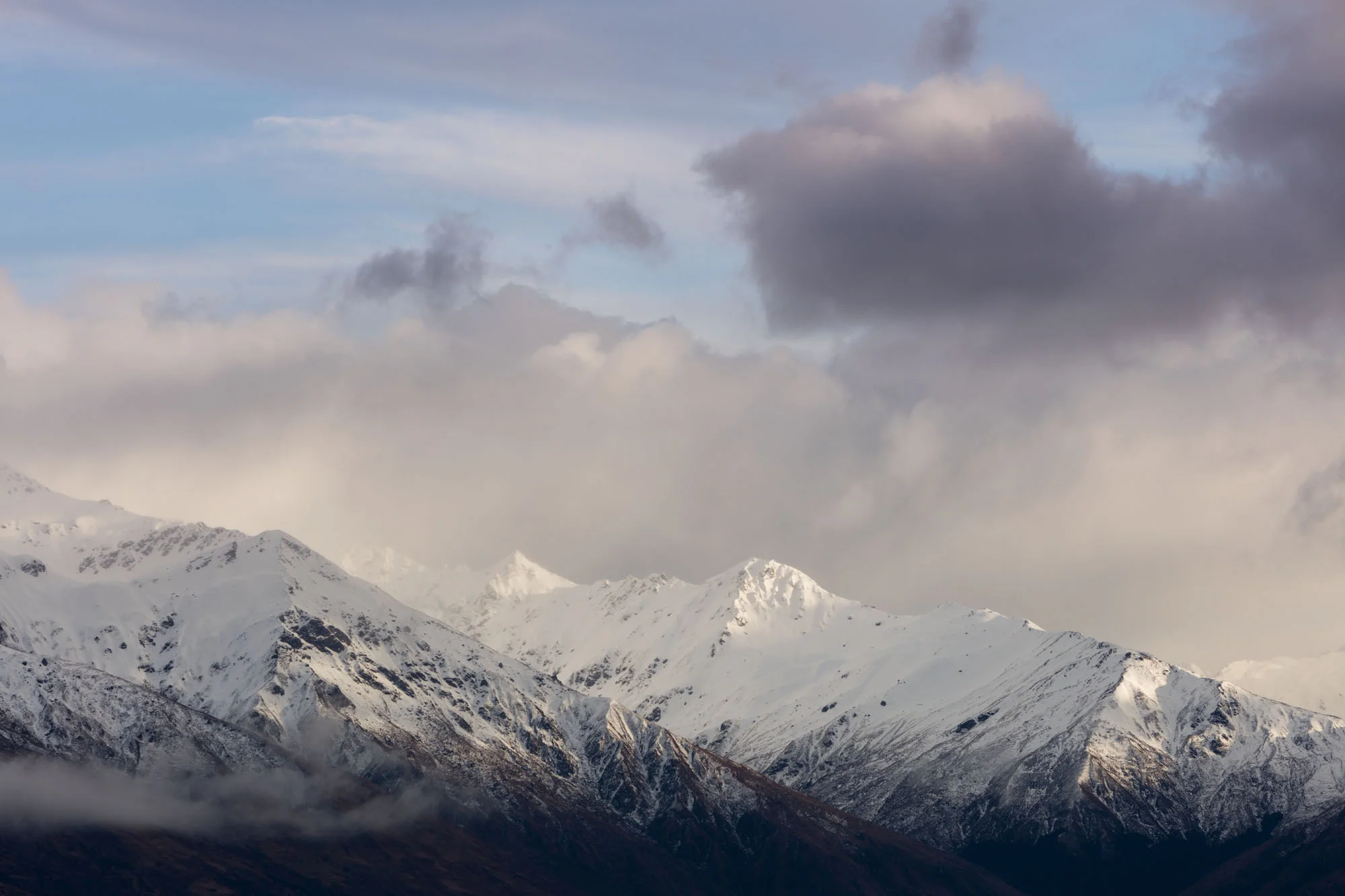 TH_NZ__61A7701.jpg