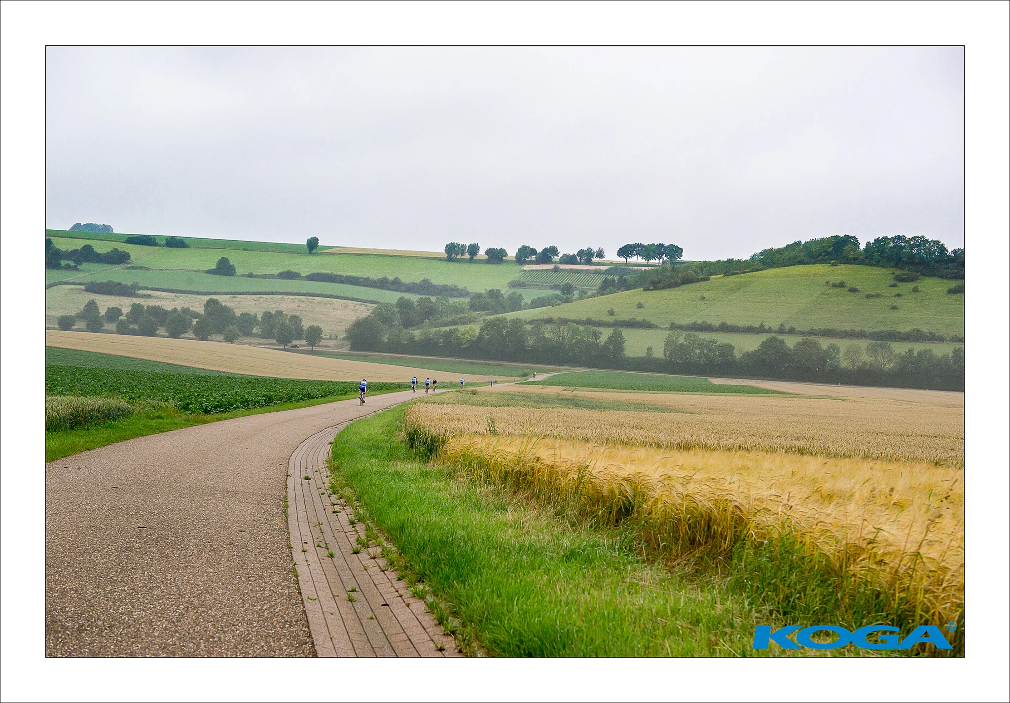 DSC_3416.jpg