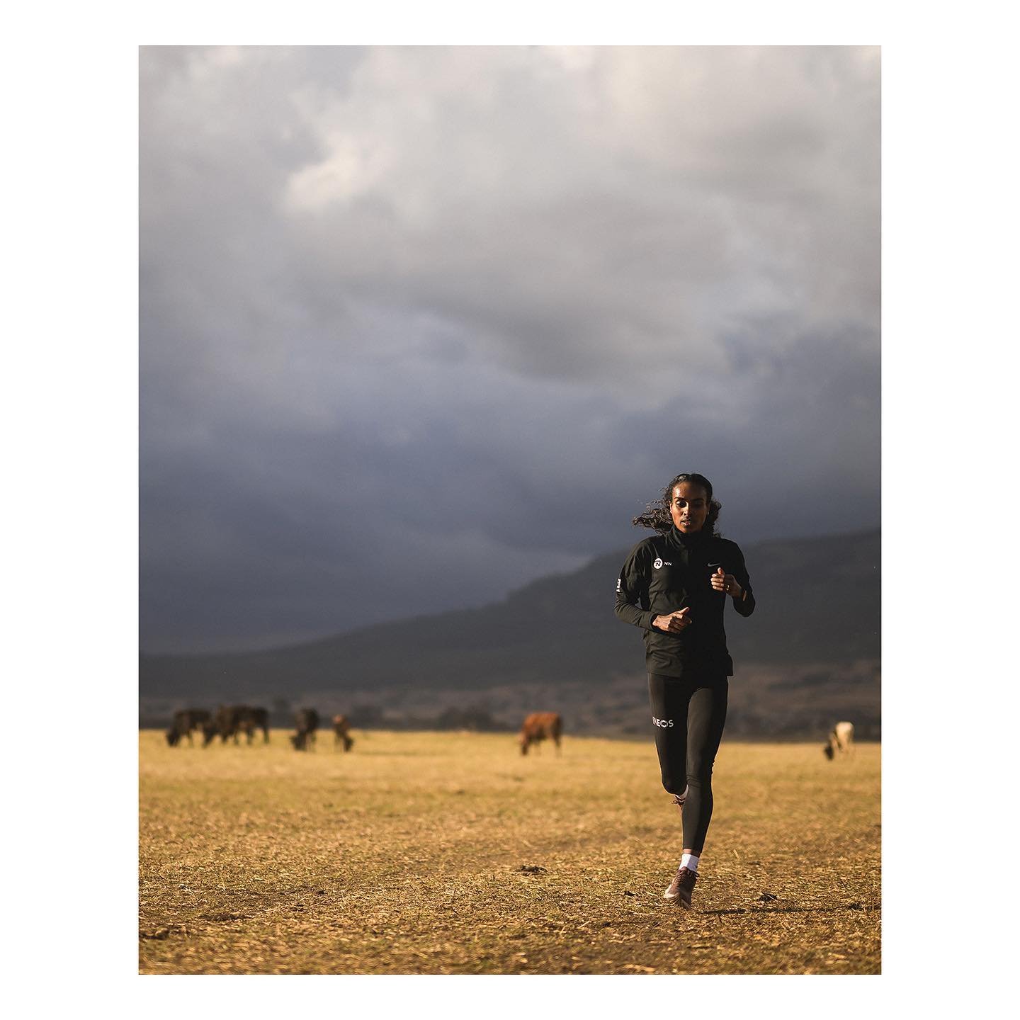 @genzebed in Ethiopia for @nnrunningteam
.
.
.
.
.
#nnrunningteam #runnersworld #runnersworldnl #ethiopiarunning #marathonrunning #genzebedibaba #ethiopia #nikonnl #mynikonlife #nikonZ9
.
📸 @vincentriemersma