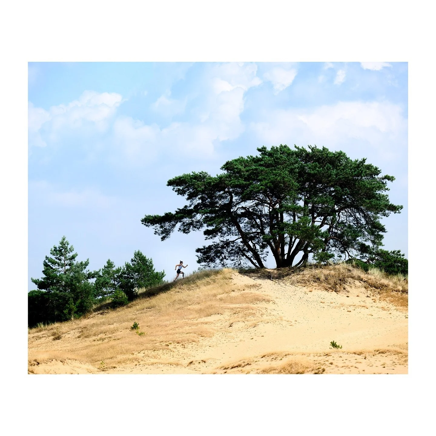 Run!! @sam.ocr.running for @runnersworldnl #runnersworldnl
.
.
.
.
.
#runnersworld #runnersworldmagazine #runstagram #ultrarunning #triathlon #gosportief #editorialphotoshoot #covershoot #hardlopen #ikloophard #liefdevoorlopen #nikonZ9 
.
📸 @vincent