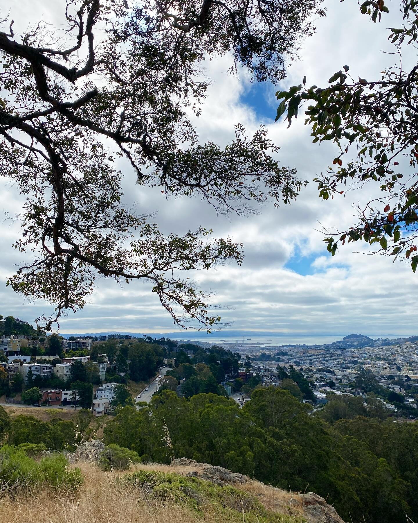 One of my fave spots lately for getting grounded in the mornings! 🌞 Thankful to be walking distance from this combined view of nature and city, accompanied by sounds of birds and distant cars. Soaking it in while doing a bit of qi gong (hip rotation