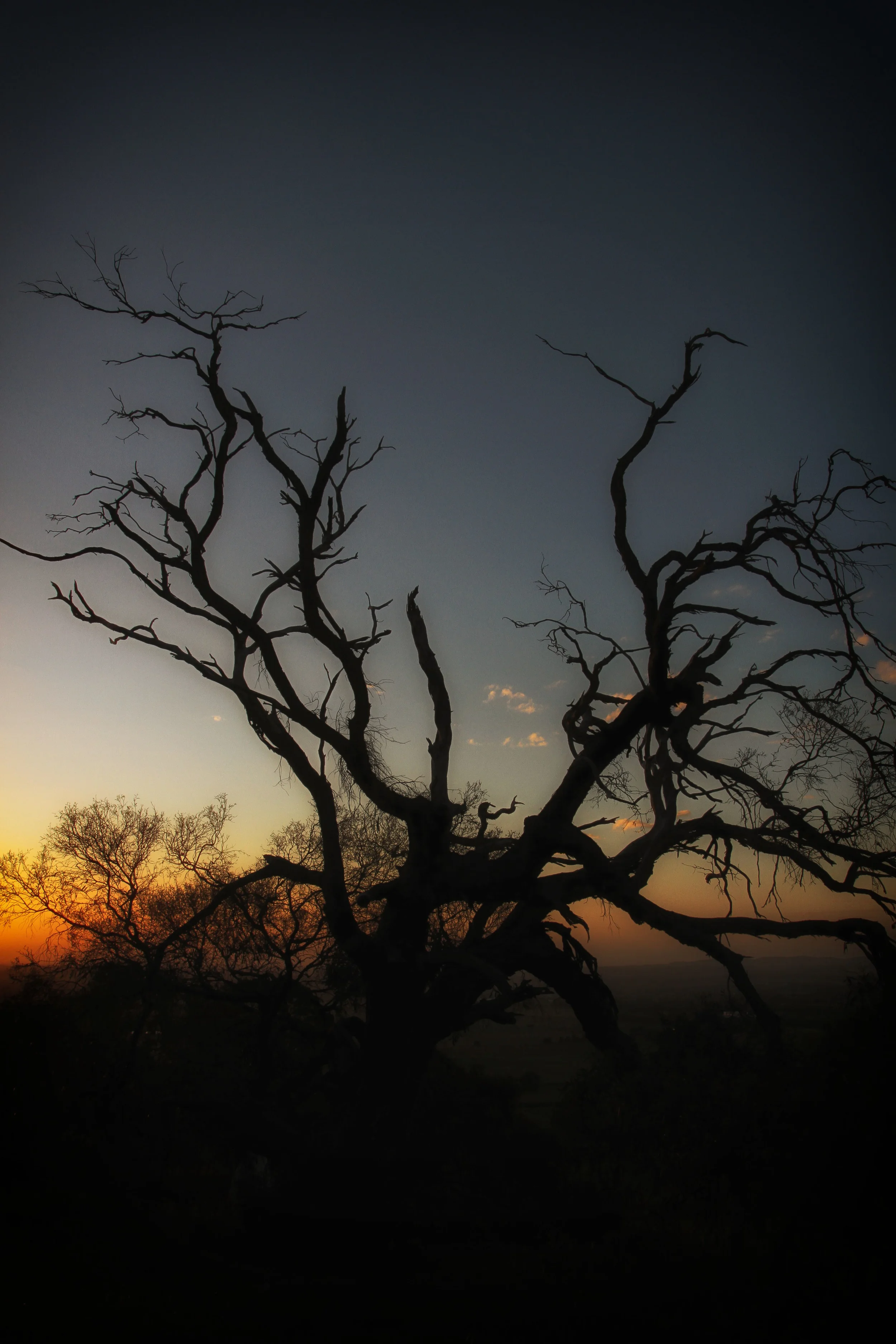 Silohouette sunset.jpg