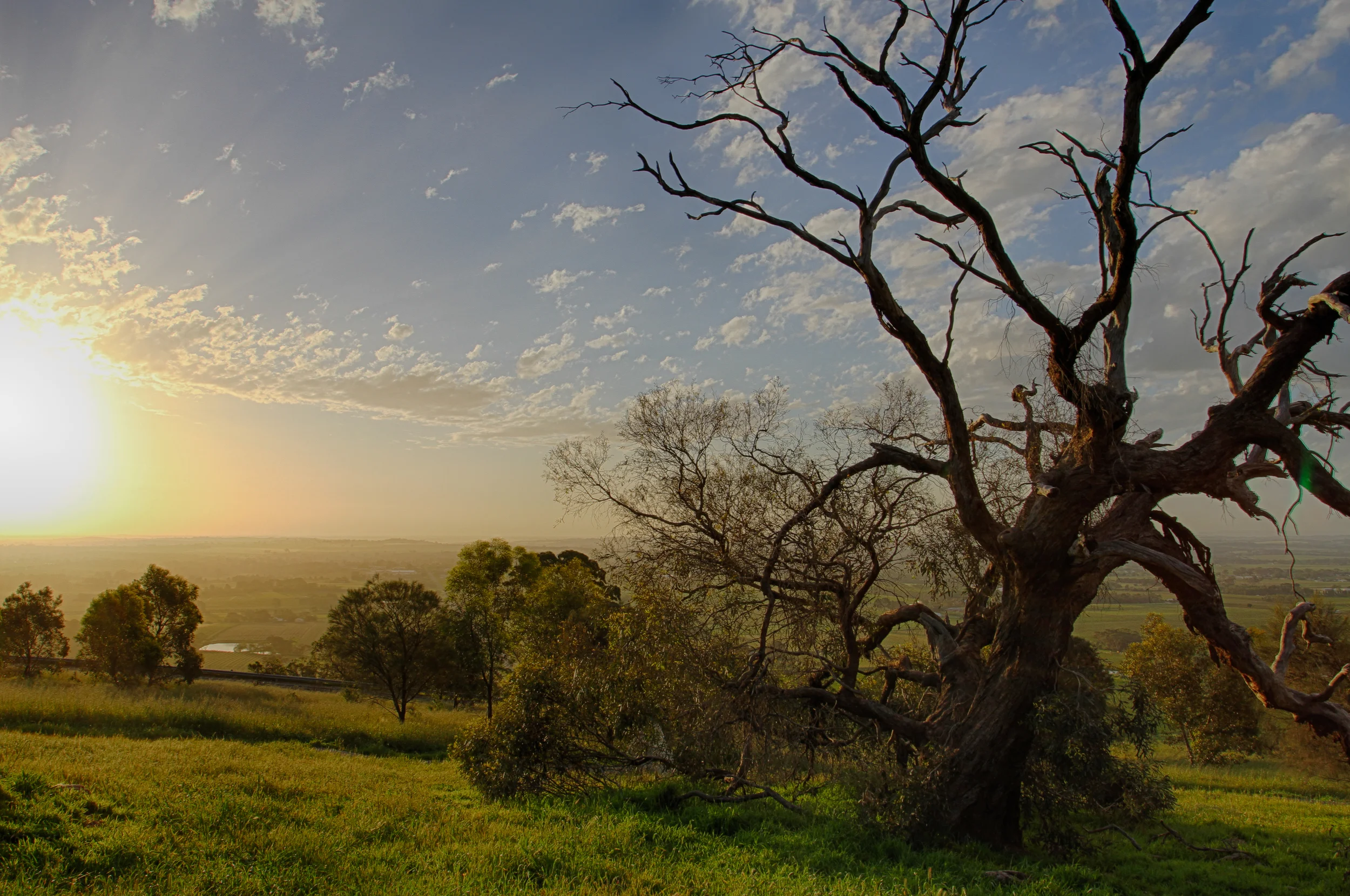 Barossa Sunset.jpg