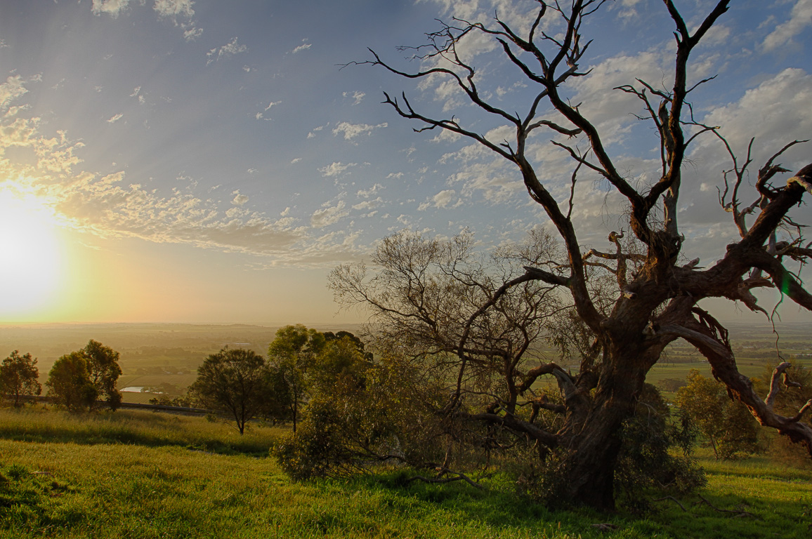 Barossa Sunset-web.jpg