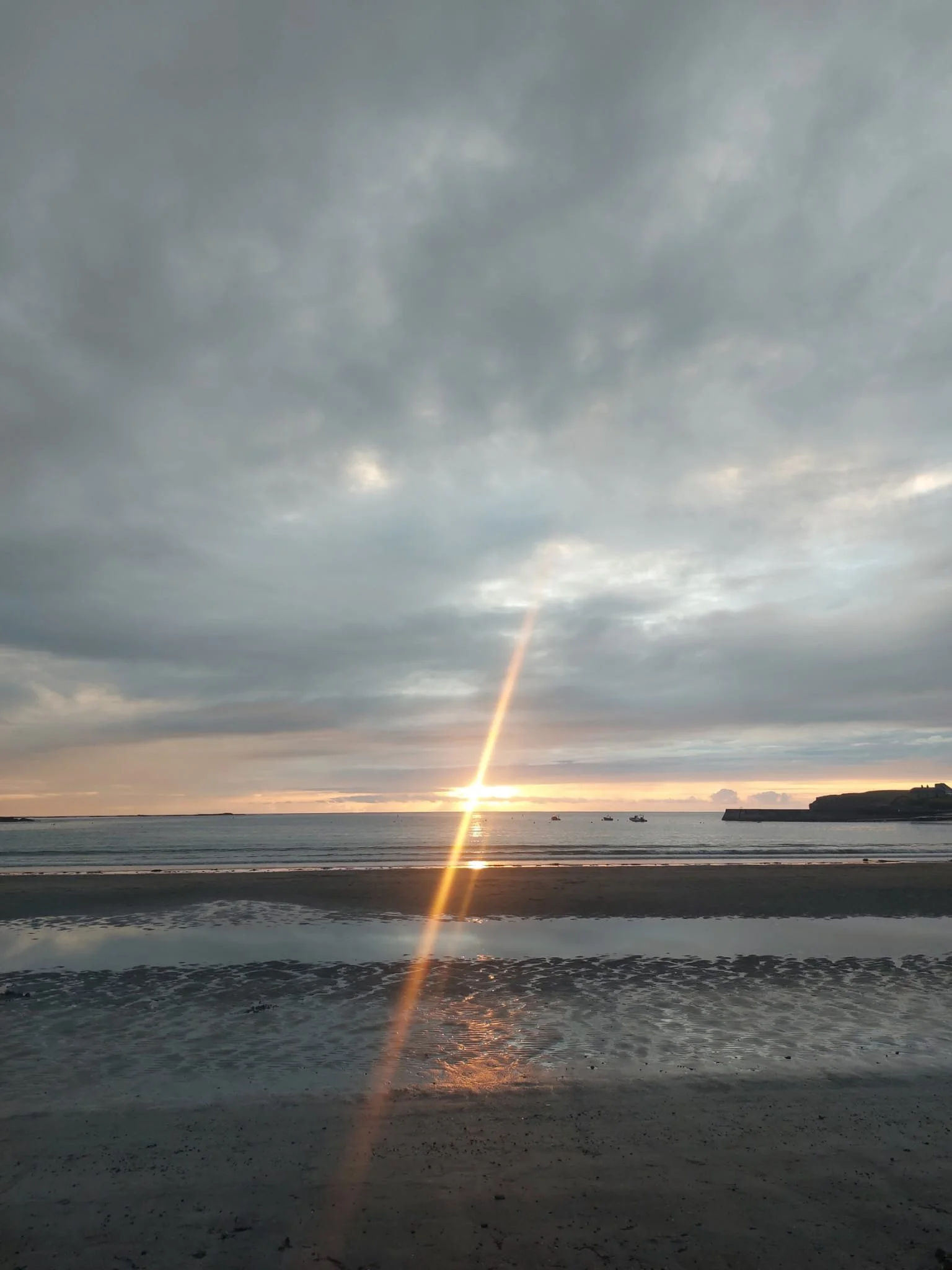 WhatsApp Image 2024-09-08 at 15.07.34 (4).jpeg