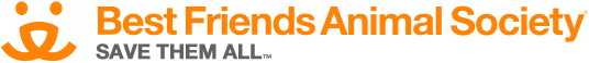 bfas-logo-sta.png