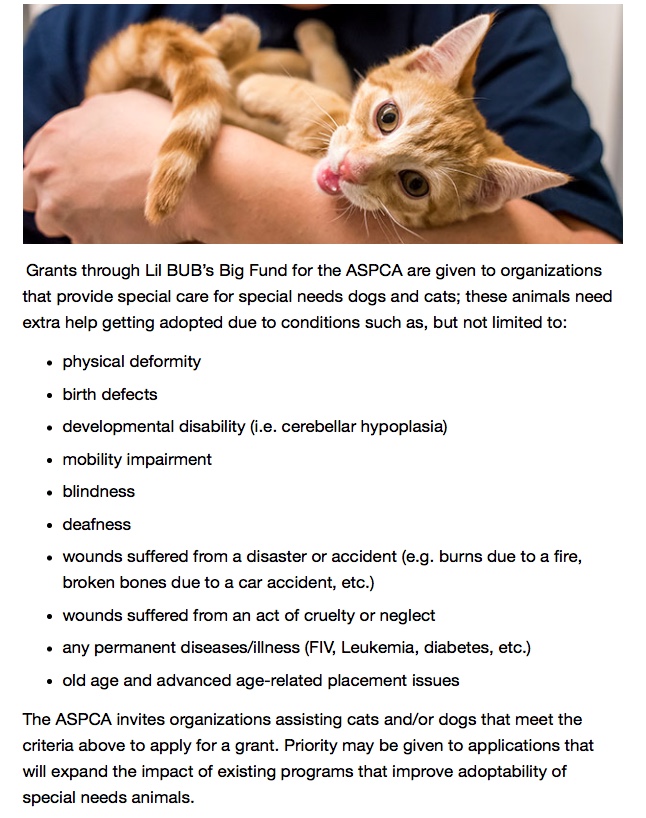 ASPCA2.jpeg