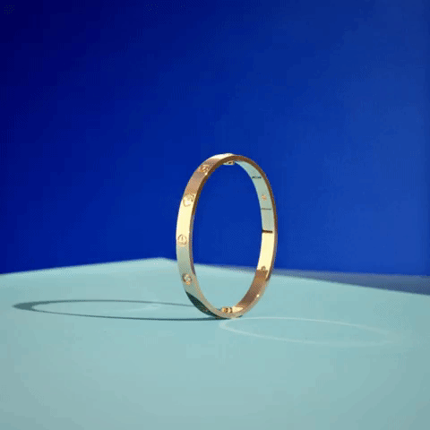 giphy (25).gif