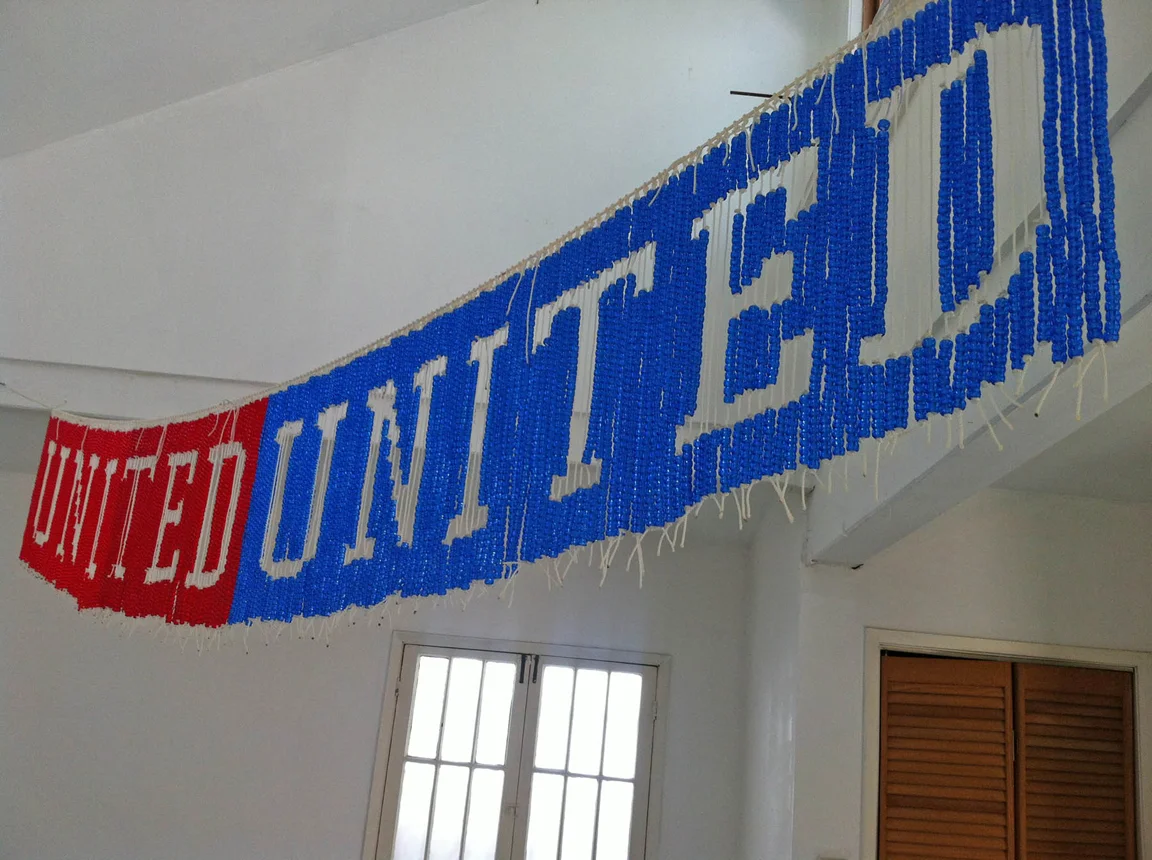 UNITEDunited, 2013, Plastic beads and nylon cord, 9' x 1' (detail)