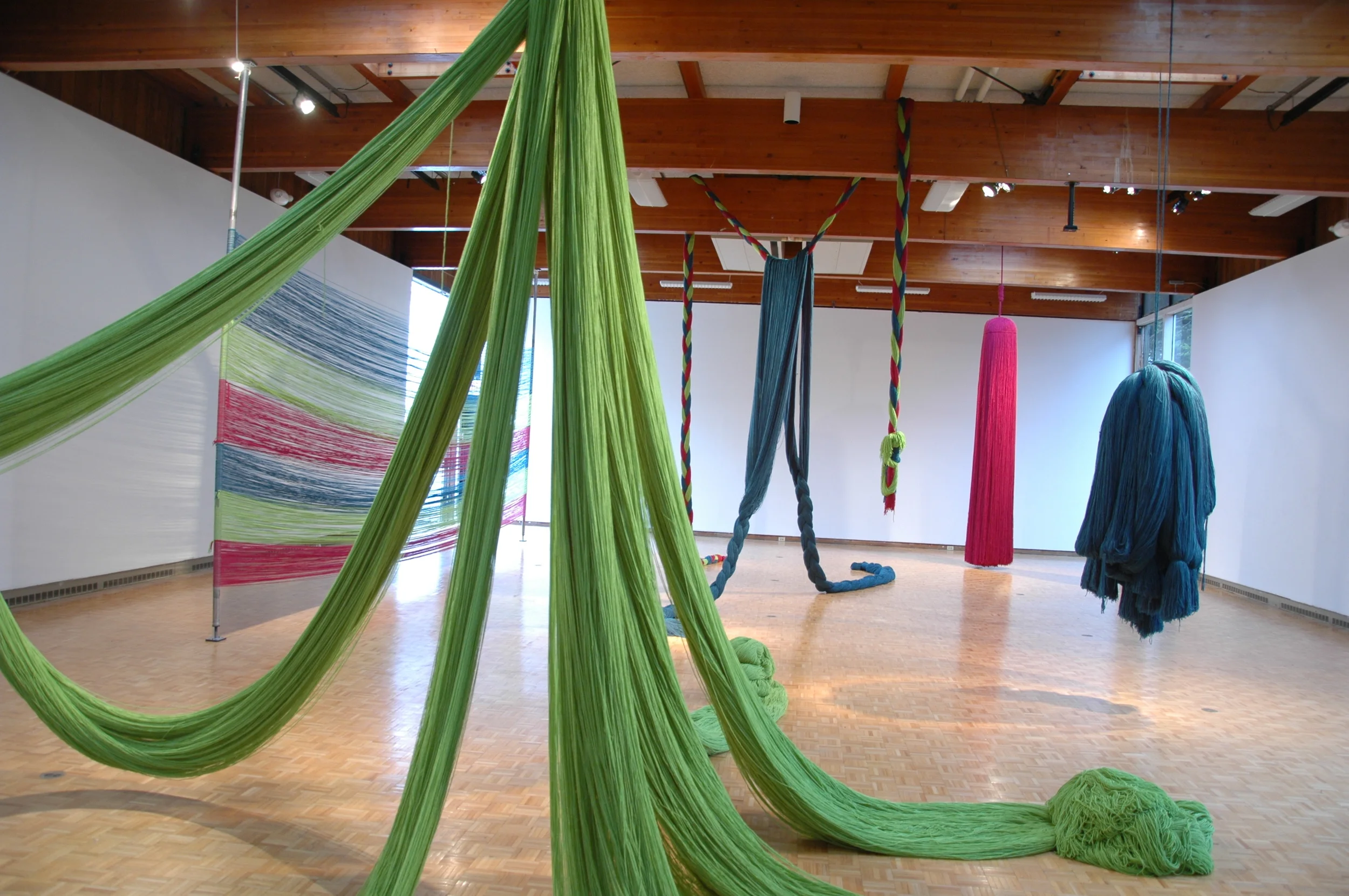 A Work in Progress: TRIM (Installation at Usdan Gallery, Bennington College), 2010, Acrylic yarn, 14' x 40' x 80' (Installation with video)