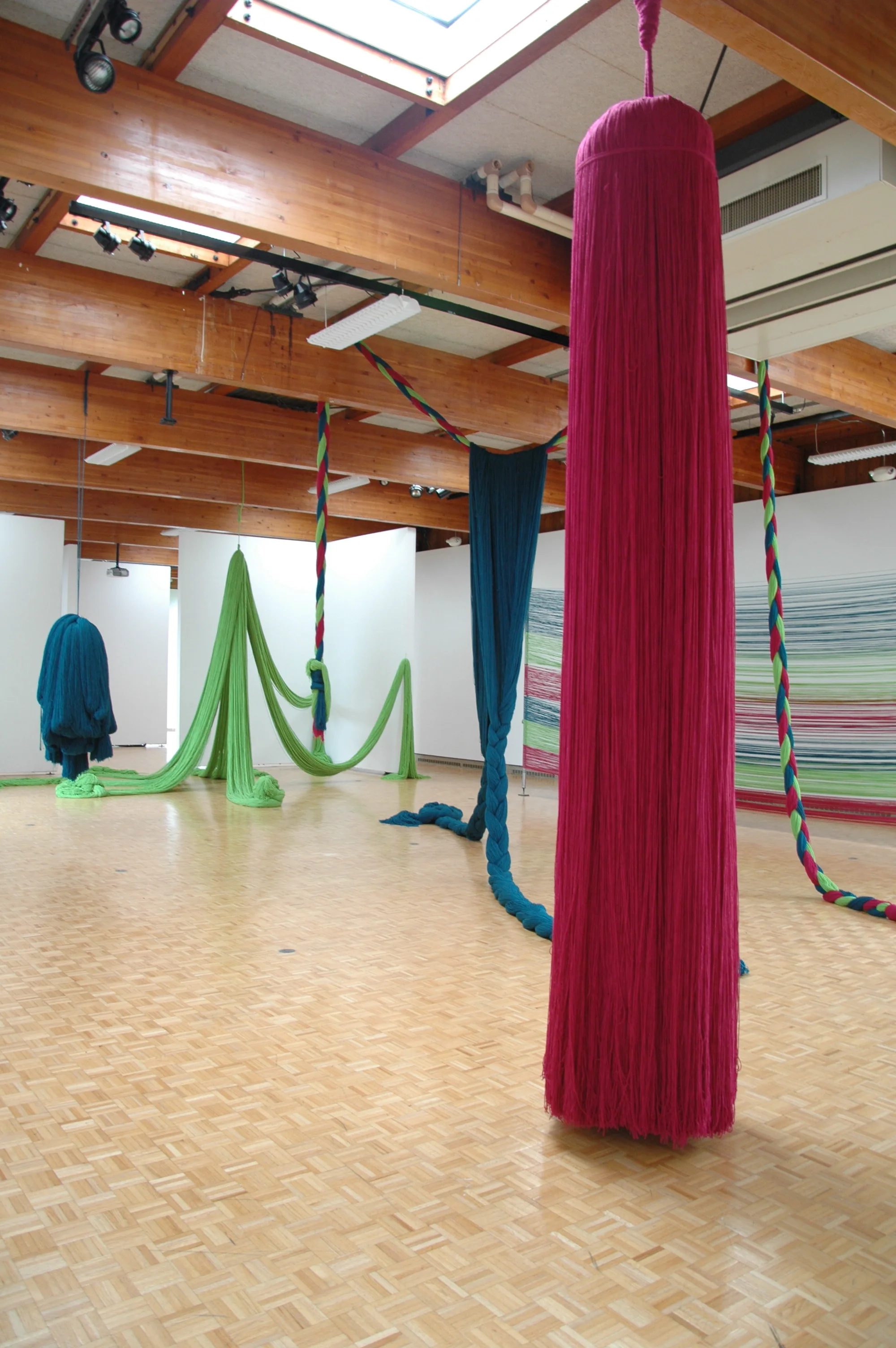 A Work in Progress: TRIM (Installation at Usdan Gallery, Bennington College), 2010, Acrylic yarn, 14' x 40' x 80' (Installation with video)