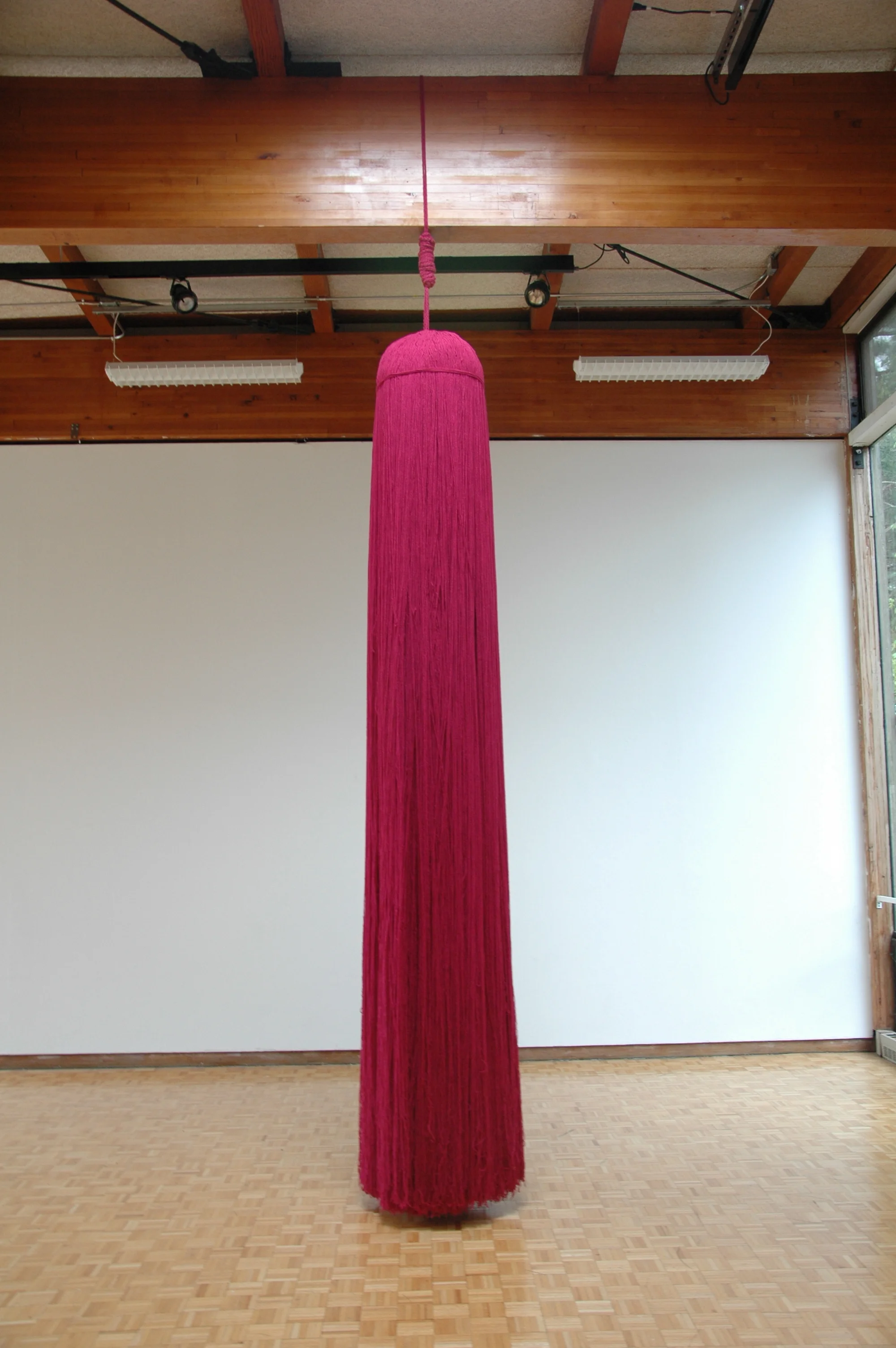 A Work in Progress: TRIM (Installation at Usdan Gallery, Bennington College), 2010, Acrylic yarn, 14' x 40' x 80' (Tassel detail)