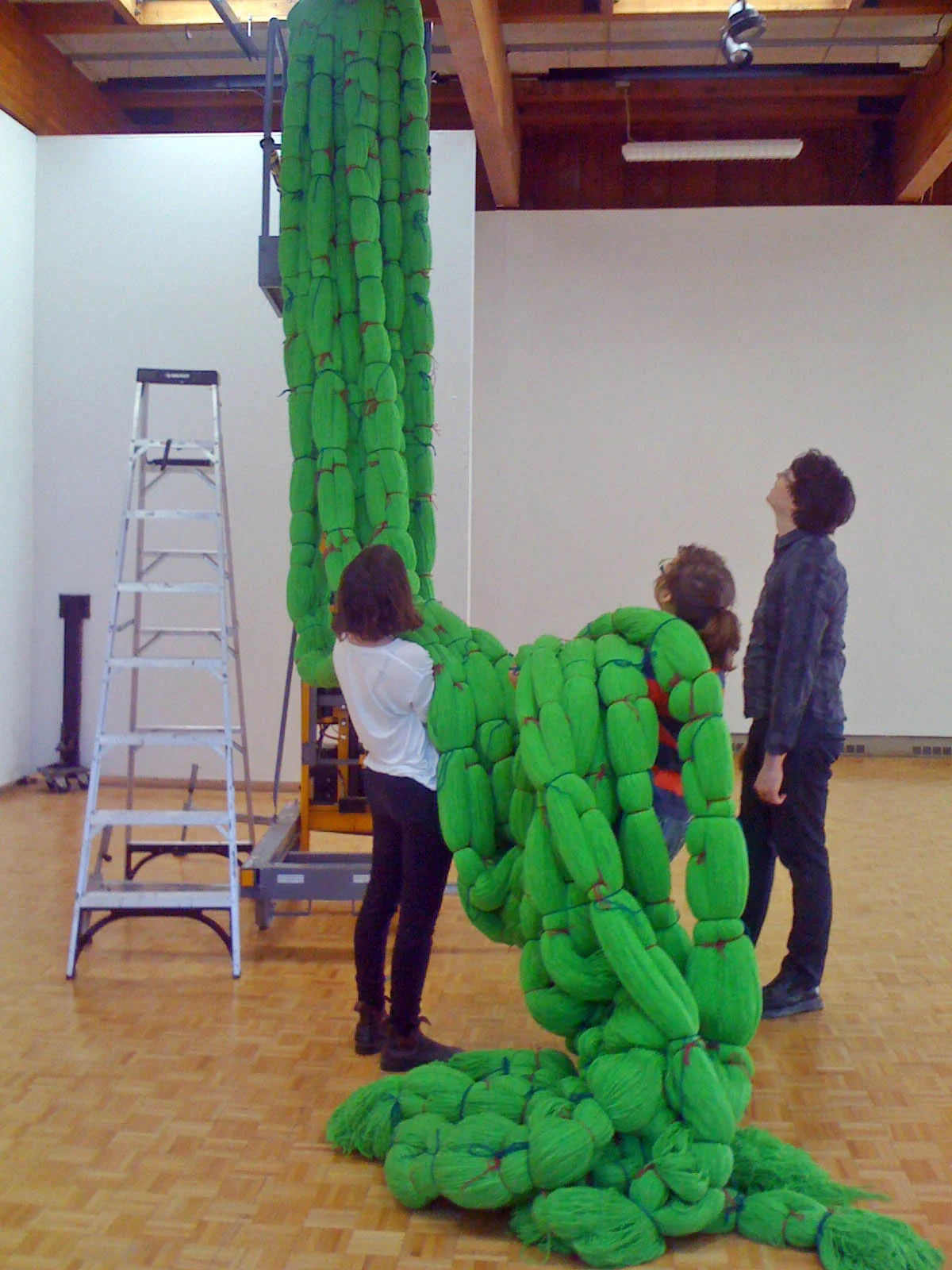 A Work in Progress: TRIM (Installation at Usdan Gallery, Bennington College), 2010, Acrylic yarn, 14' x 40' x 80' (Work in progress)