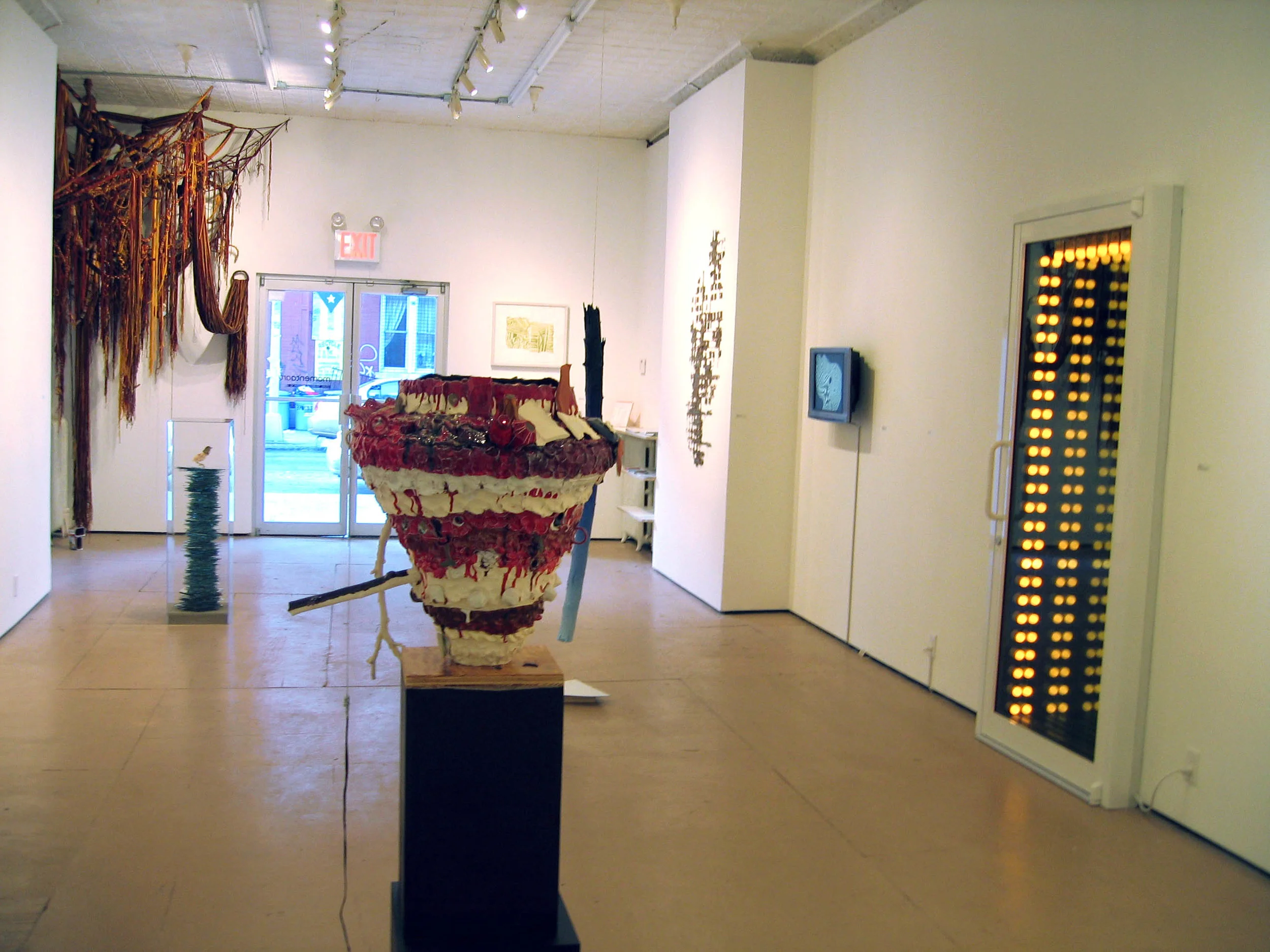 Intelligent Design,  2007, Guest organized by Rico Gatson and Ellie Murphy, ​Momenta Art Brooklyn, Installation view