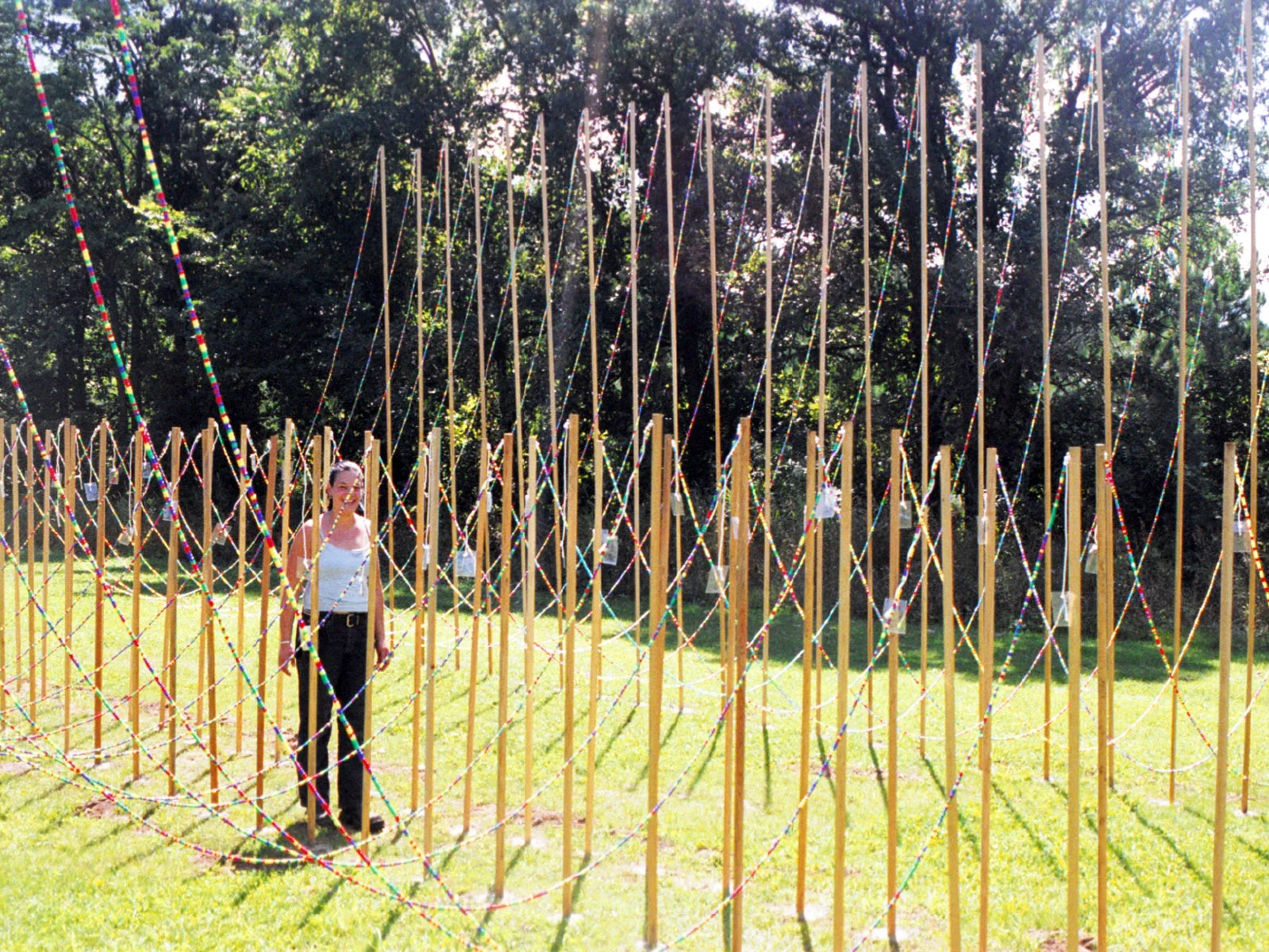Gene Pairs ... With Ellipses, 2002, Plastic pony beads, nylon string, wood, metal, vinyl and cement, 35 x 25' (Franconia Sculpture Park)