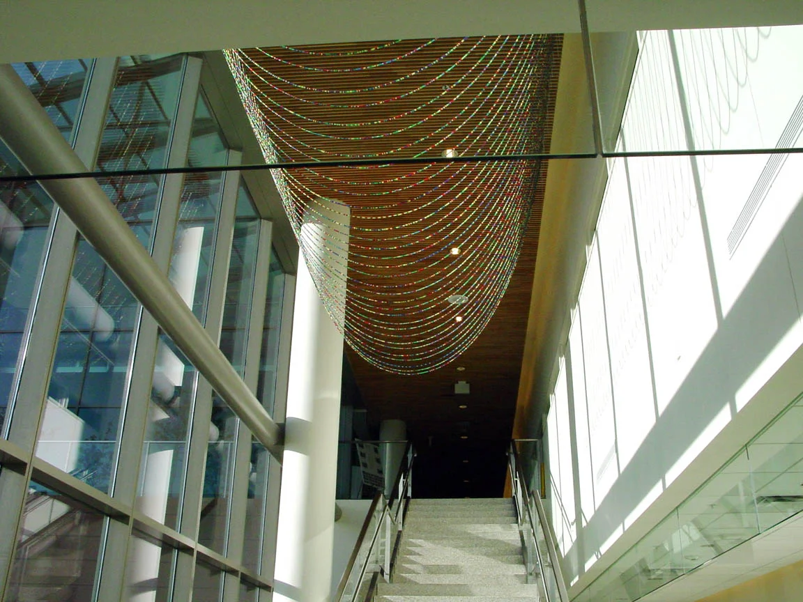 Gene Pairs ... With Ellipses, 2003, Plastic pony beads and nylon string, 35 x 25' (Installed at the Bureau of Criminal Investigation, Minneapolis, MN)