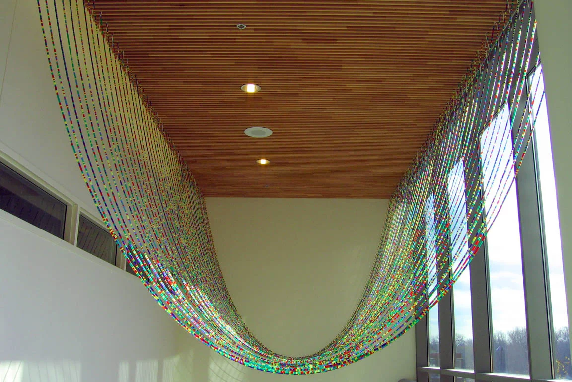 Gene Pairs ... With Ellipses, 2003, Plastic pony beads and nylon string, 35 x 25' (Installed at the Bureau of Criminal Investigation, Minneapolis, MN)