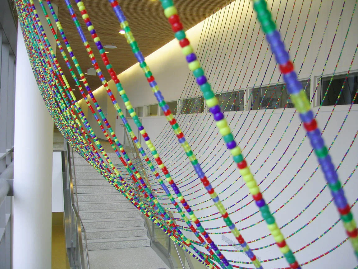 Gene Pairs ... With Ellipses, 2003, Plastic pony beads and nylon string, 35 x 25' (Detail)