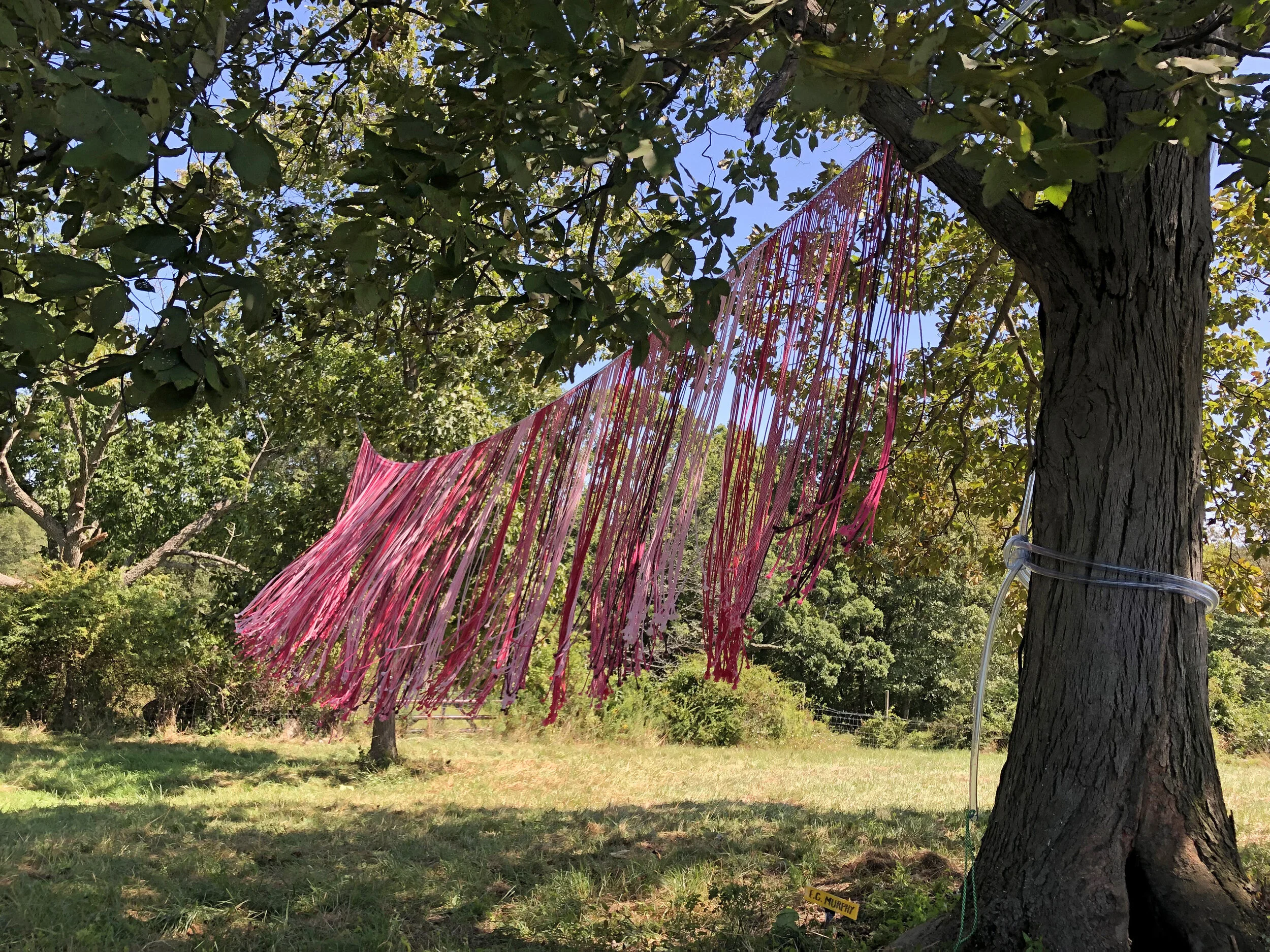 Fiber Nacho, 2019, Polypropylene cord and vinyl tube, Collaborative Concepts at Saunders Farm—Garrison, New York, 30 x 9 feet