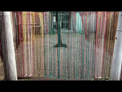 The Grandfathers, 2020, 6mm Polypropylene cord, 12 x 7 x 100 feet-Installation