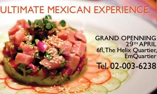 Newsletter No.2: Prepare for new Mexican Experiencess