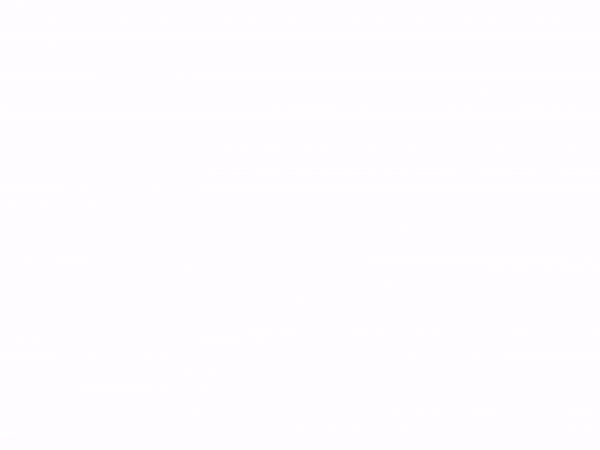 Check-In-Animation.gif