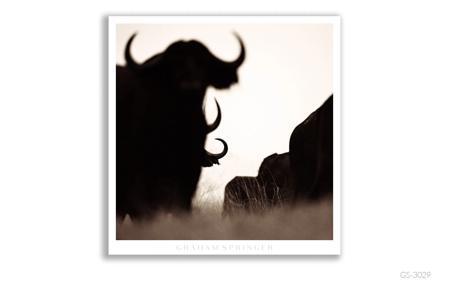 Homage_002_GS3029_Graham-Springer.jpg