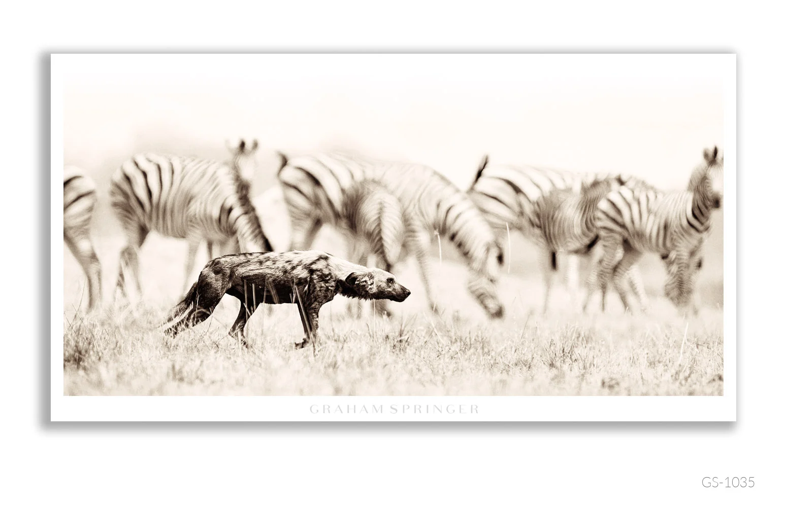 Homage_021_GS1035_Graham-Springer.jpg