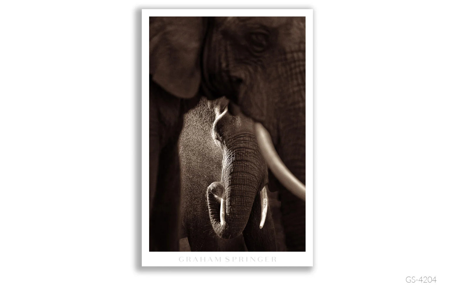 Homage_035_GS4204_Graham-Springer.jpg