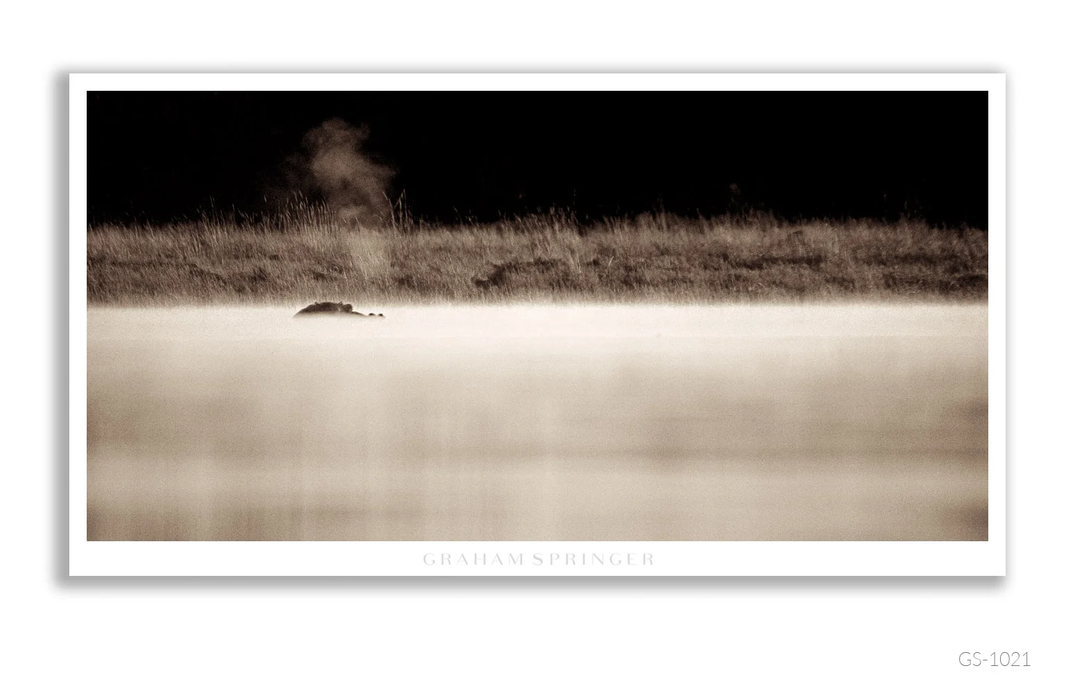 Homage_047_GS1021_Graham-Springer.jpg