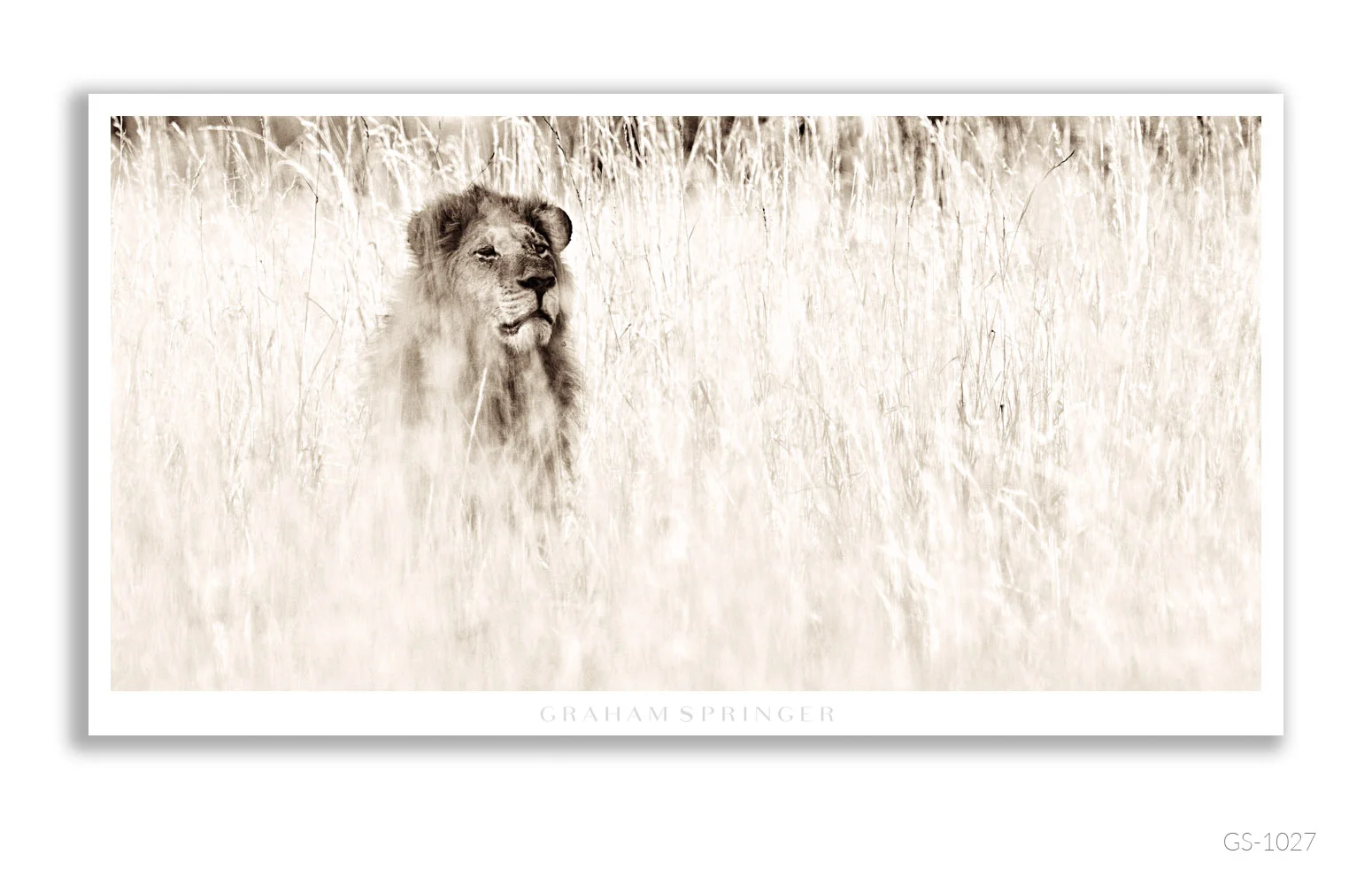 Homage_063_GS1027_Graham-Springer.jpg