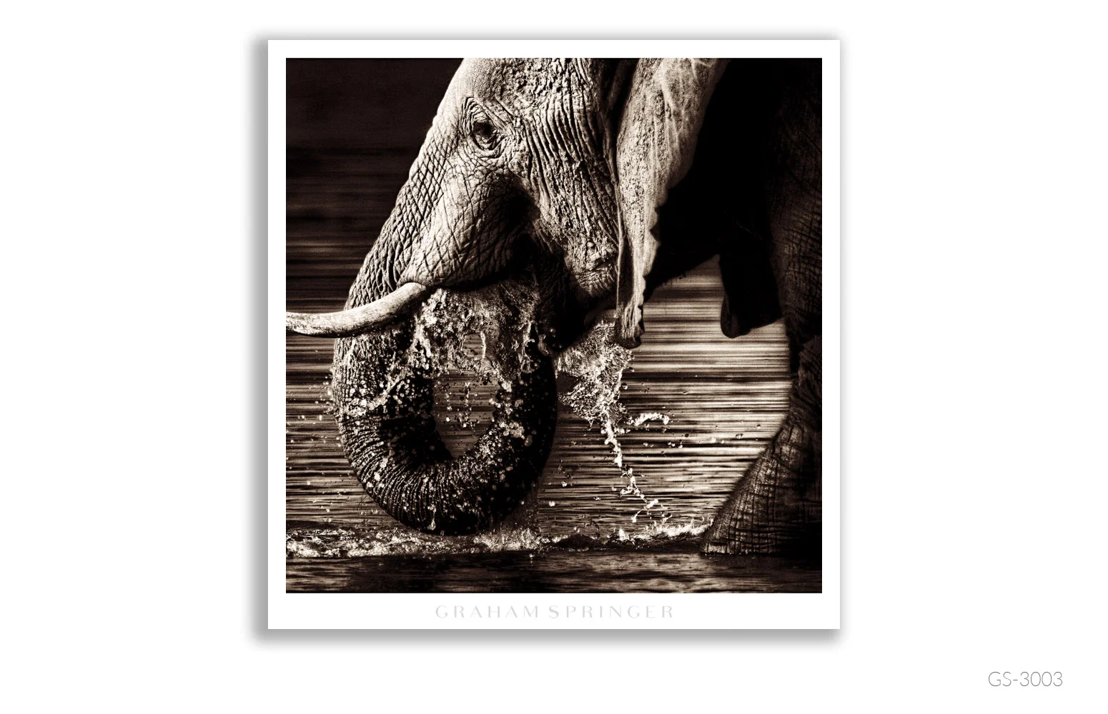Homage_067_GS3003_Graham-Springer.jpg