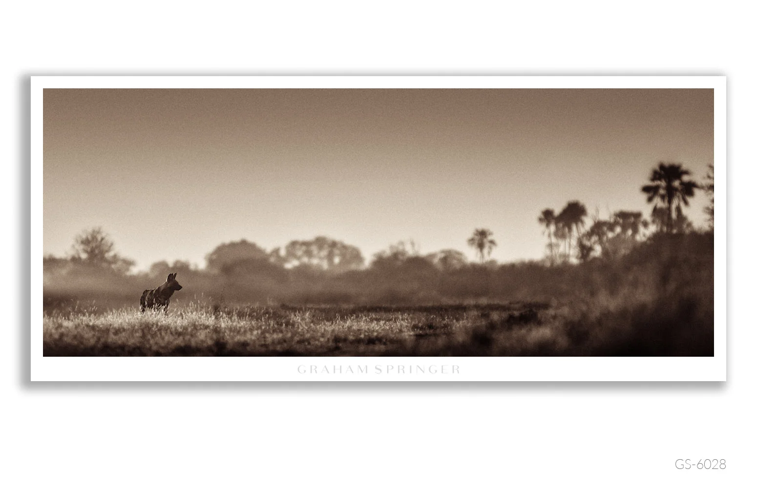 Homage_075_GS6028_Graham-Springer.jpg