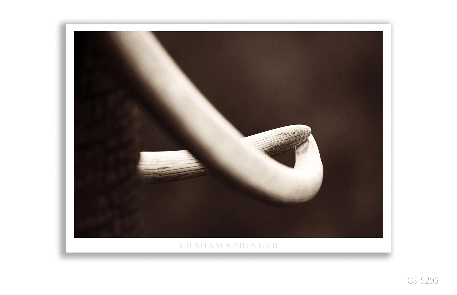 Homage_092_GS5205_Graham-Springer.jpg