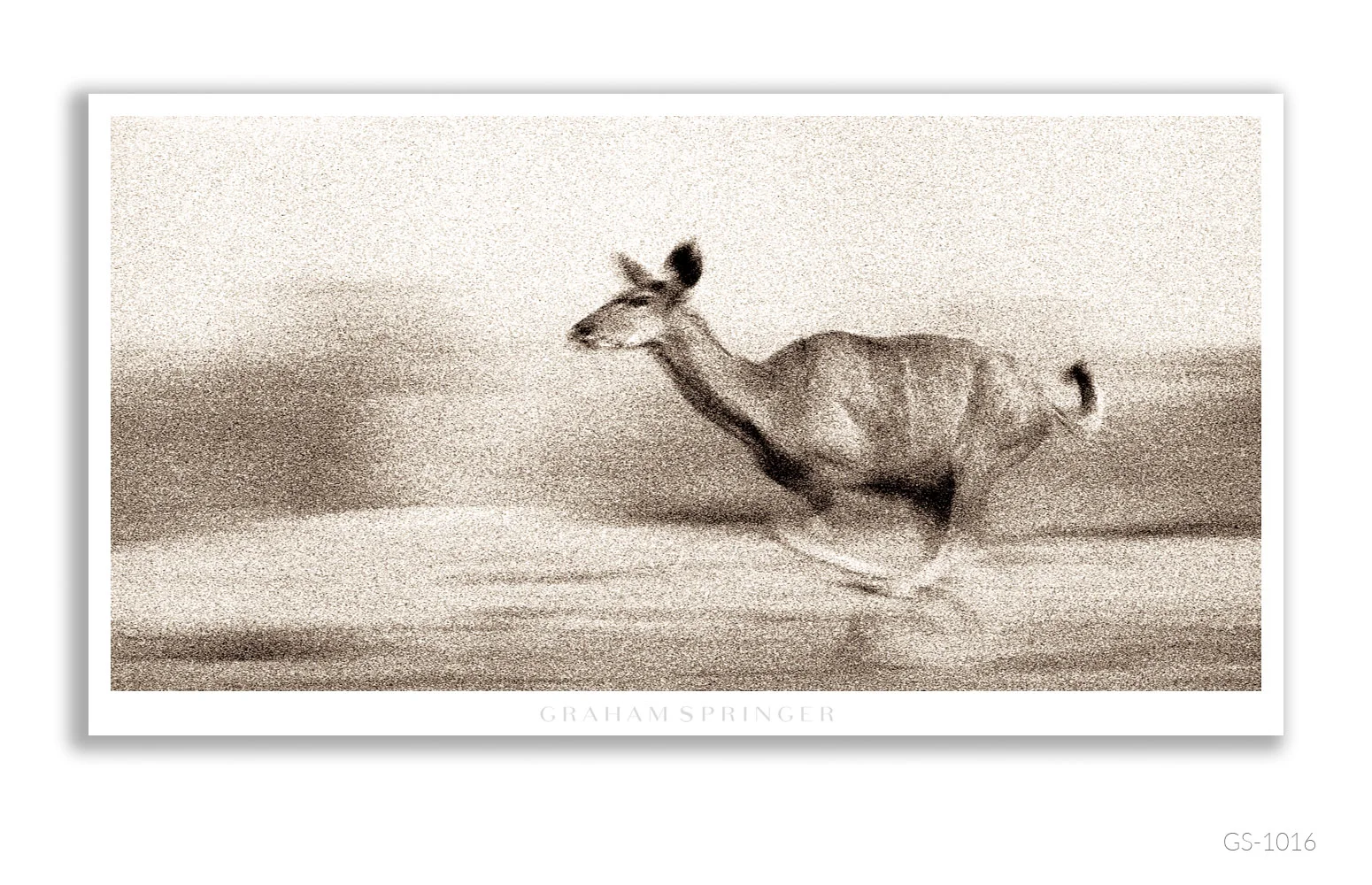 Homage_098_GS1016_Graham-Springer.jpg