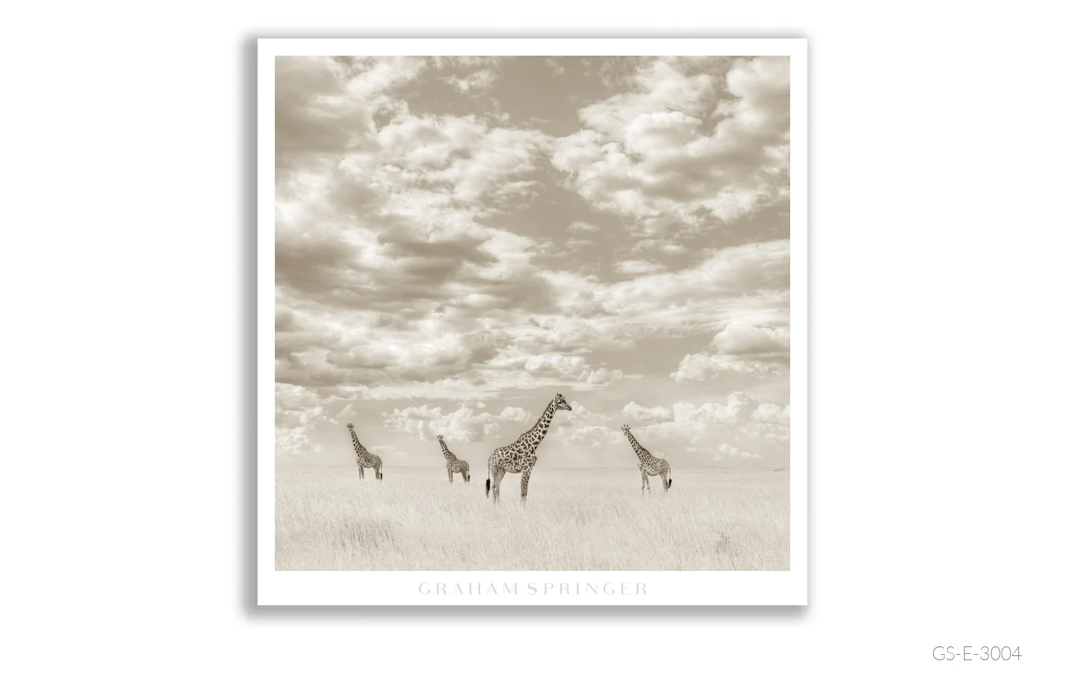 Elegy_002_GS_E_3004_Graham-Springer.jpg