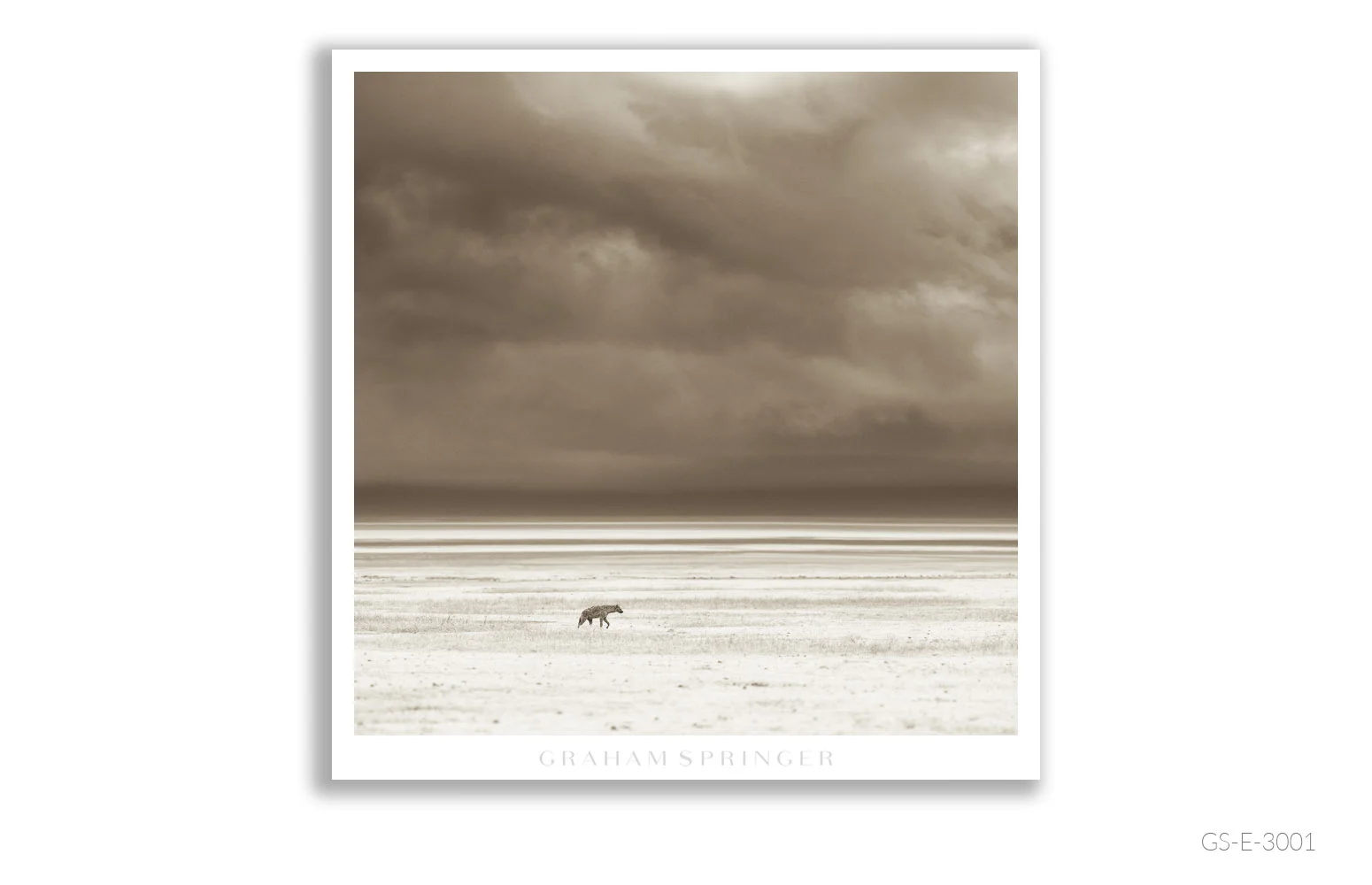 Elegy_005_GS_E_3001_Graham-Springer.jpg
