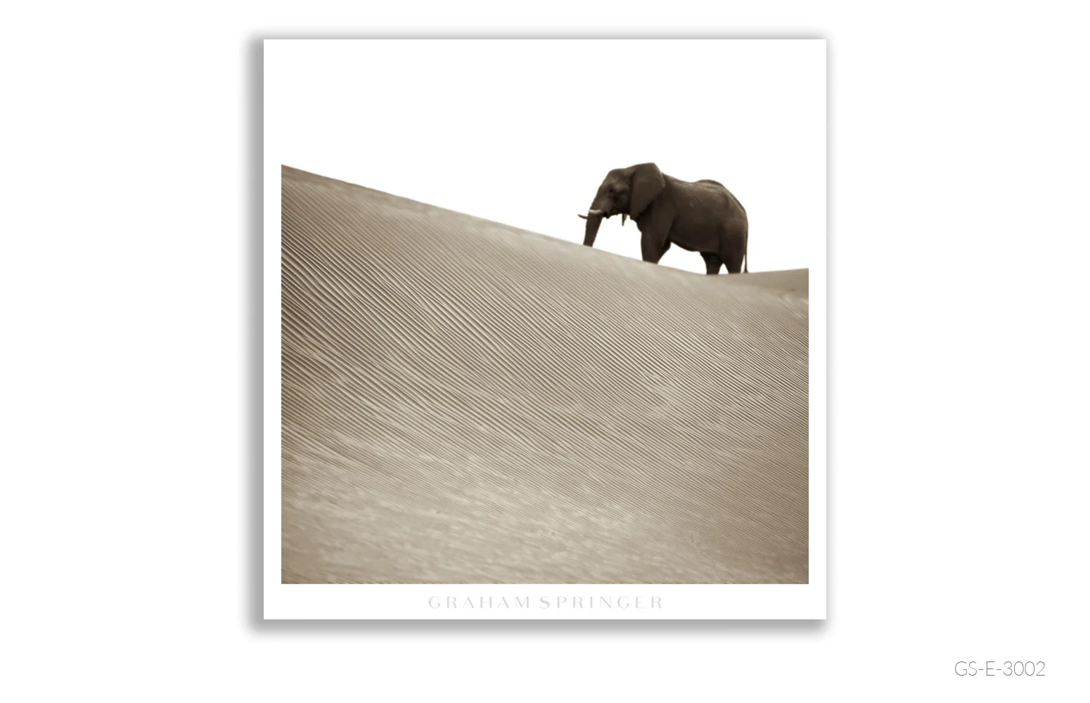 Elegy_009_GS_E_3002_Graham-Springer.jpg