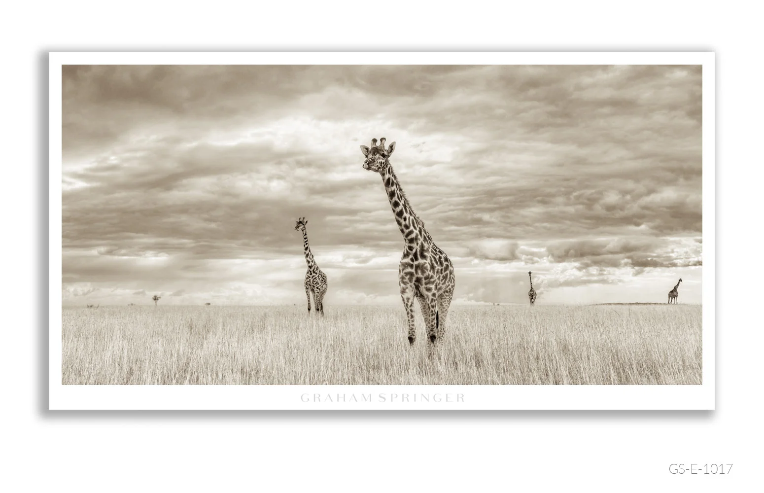 Elegy_010_GS_E_1017_Graham-Springer.jpg