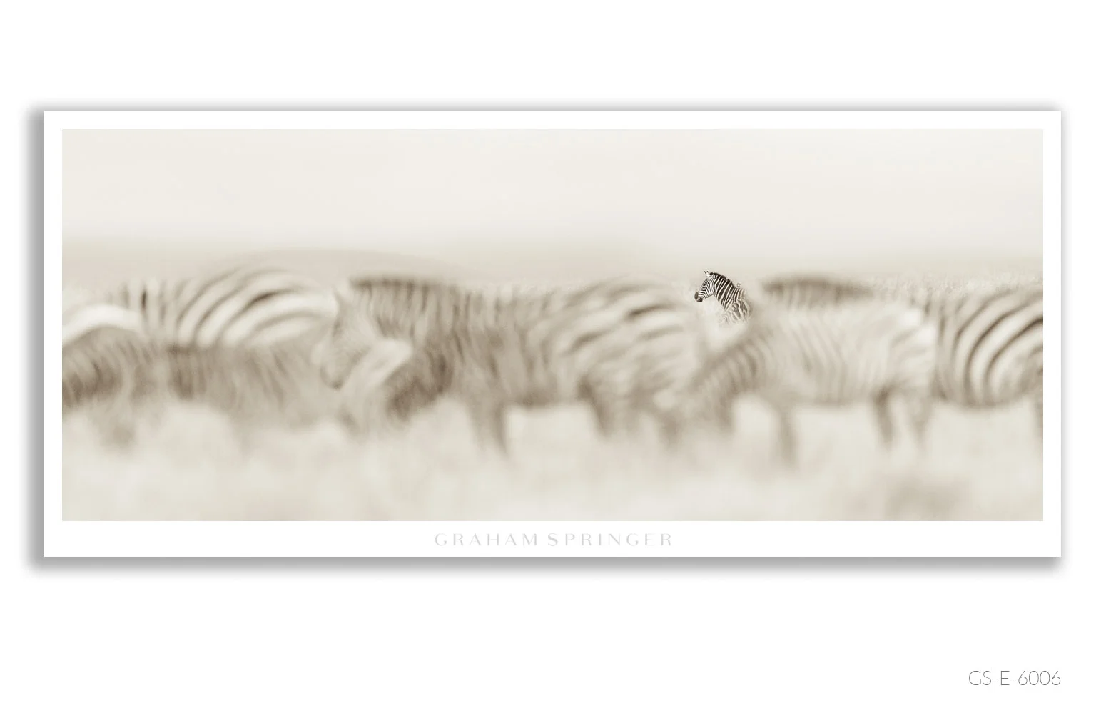 Elegy_013_GS_E_6006_Graham-Springer.jpg