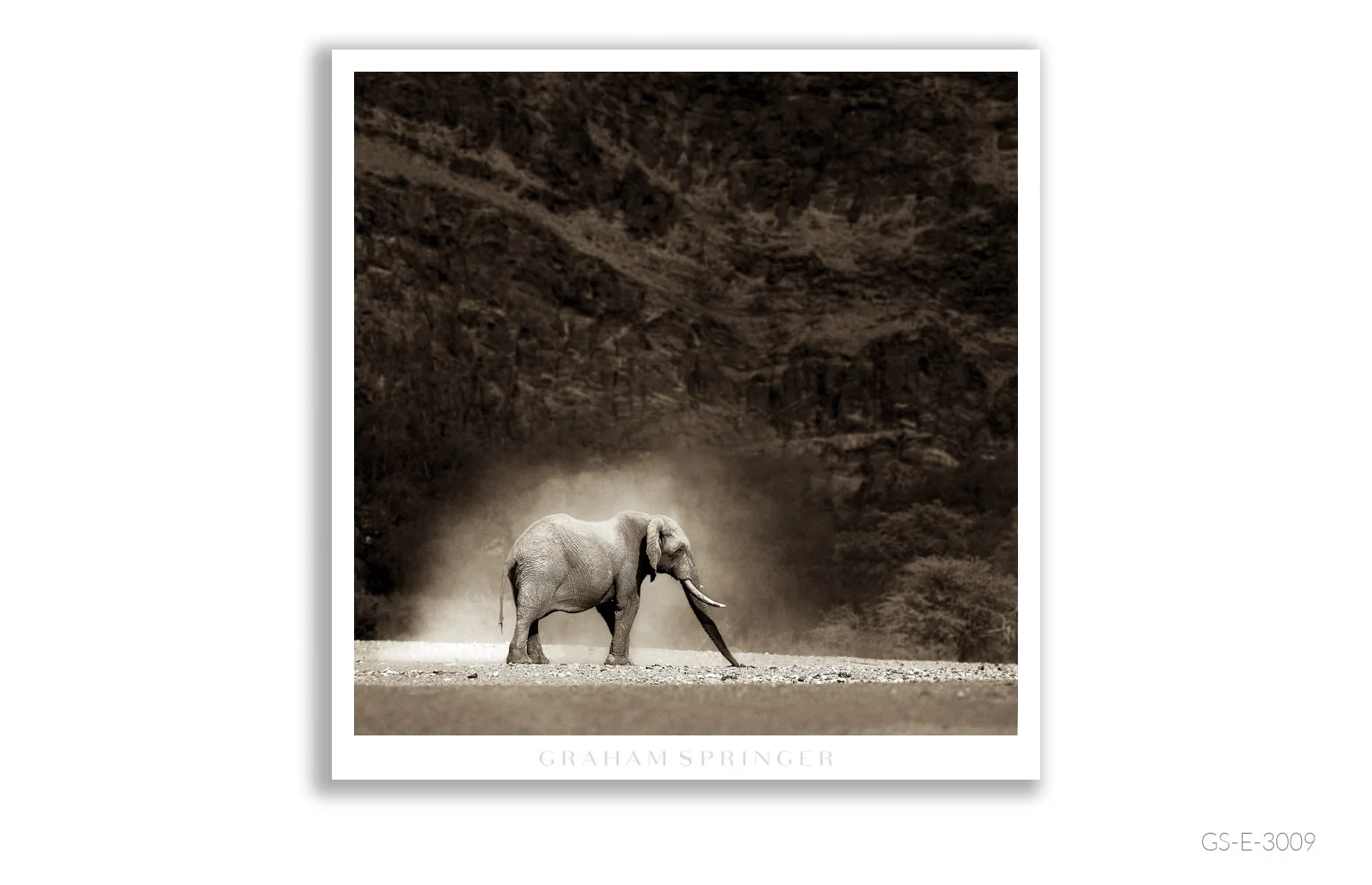 Elegy_014_GS_E_3009_Graham-Springer.jpg