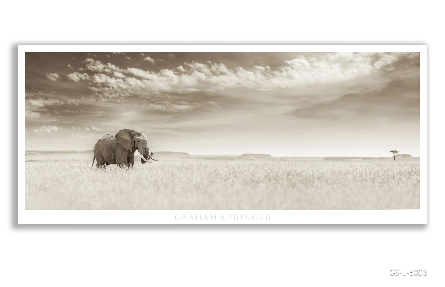 Elegy_017_GS_E_6003_Graham-Springer.jpg
