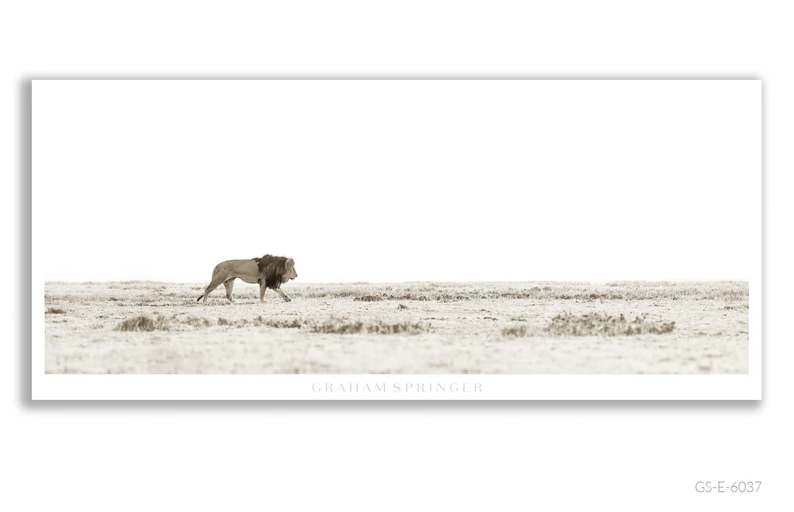 Elegy_019_GS_E_6037_Graham-Springer.jpg