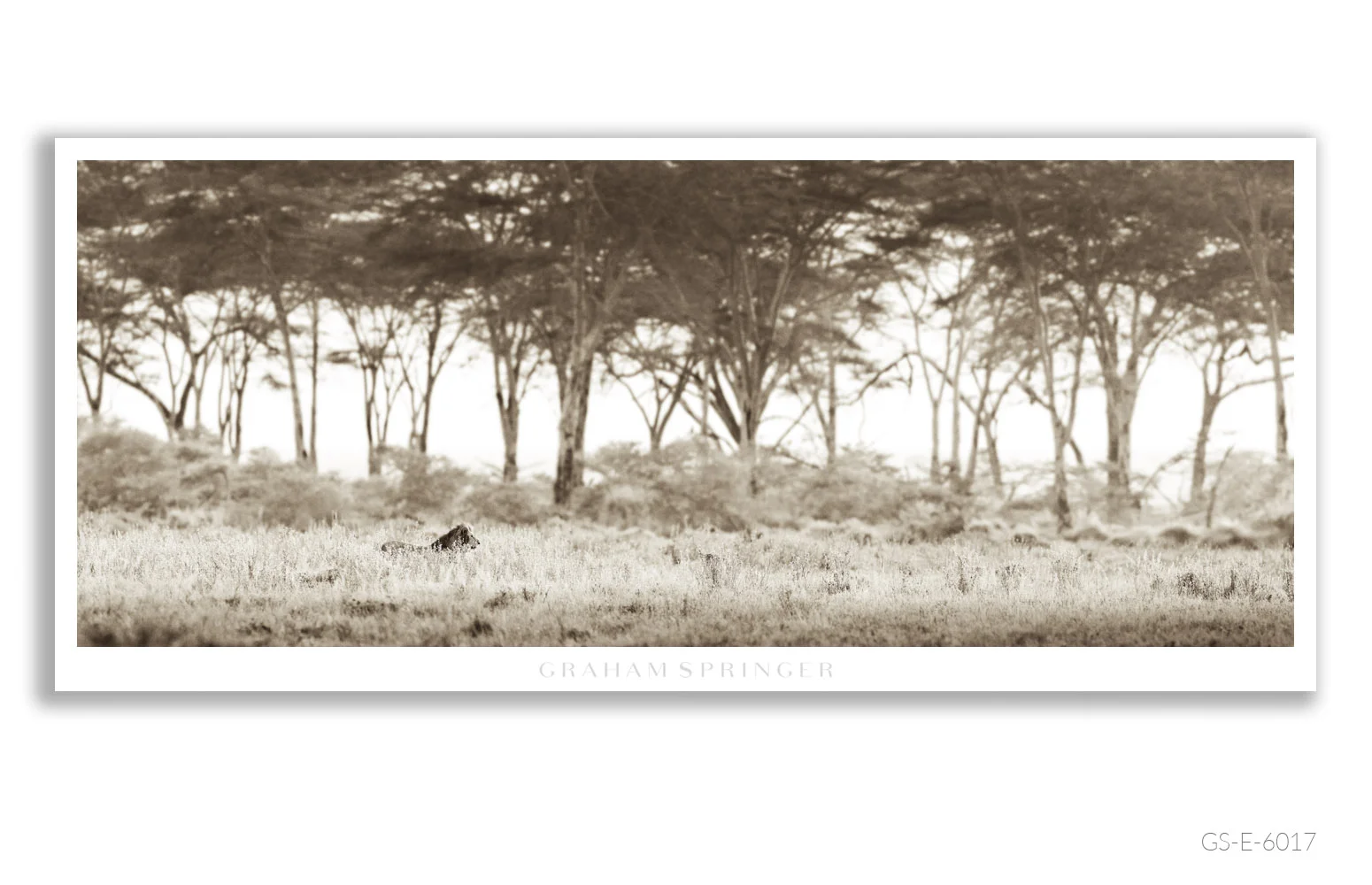 Elegy_018_GS_E_6017_Graham-Springer.jpg