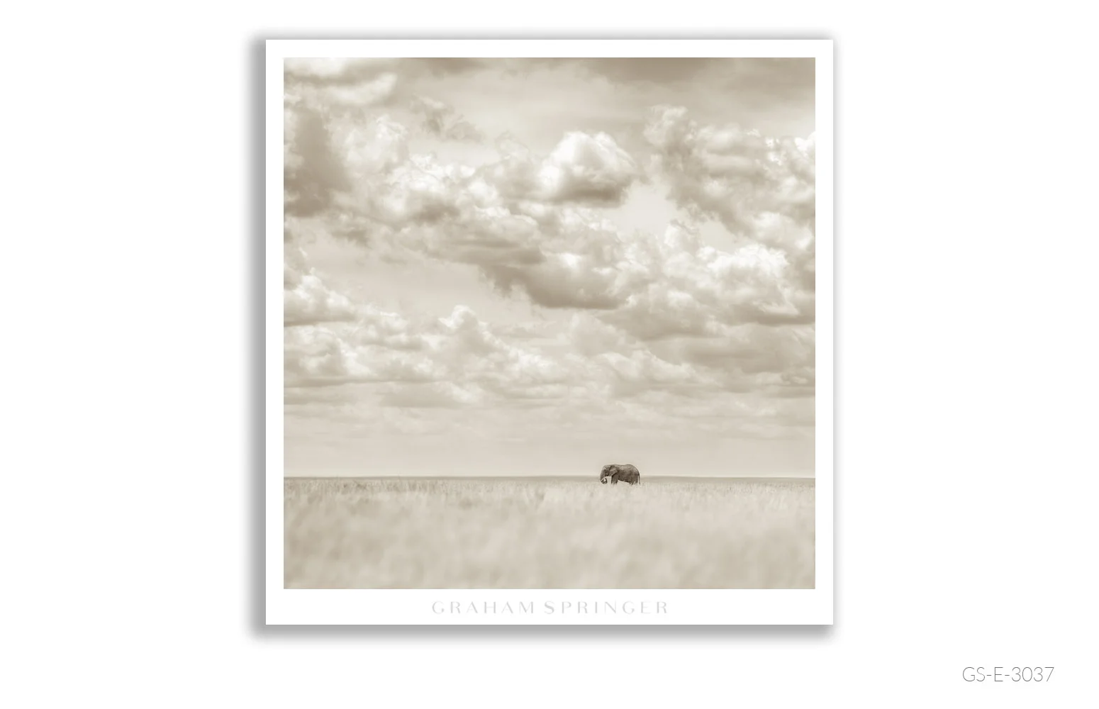 Elegy_020_GS_E_3037_Graham-Springer.jpg