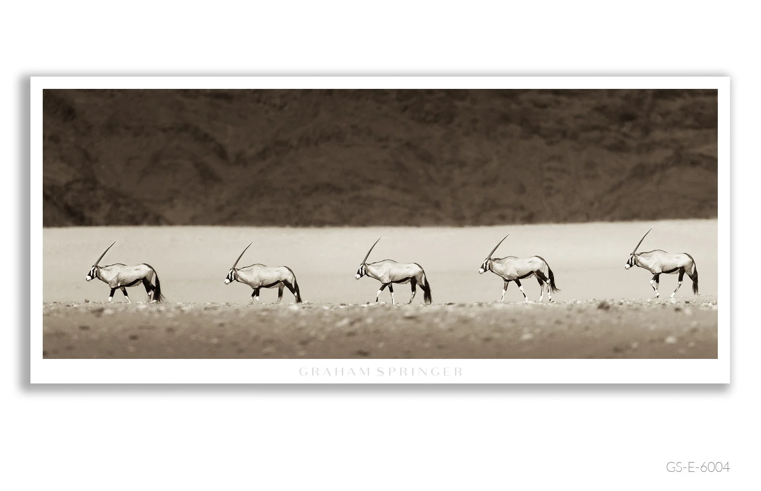 Elegy_021_GS_E_6004_Graham-Springer.jpg